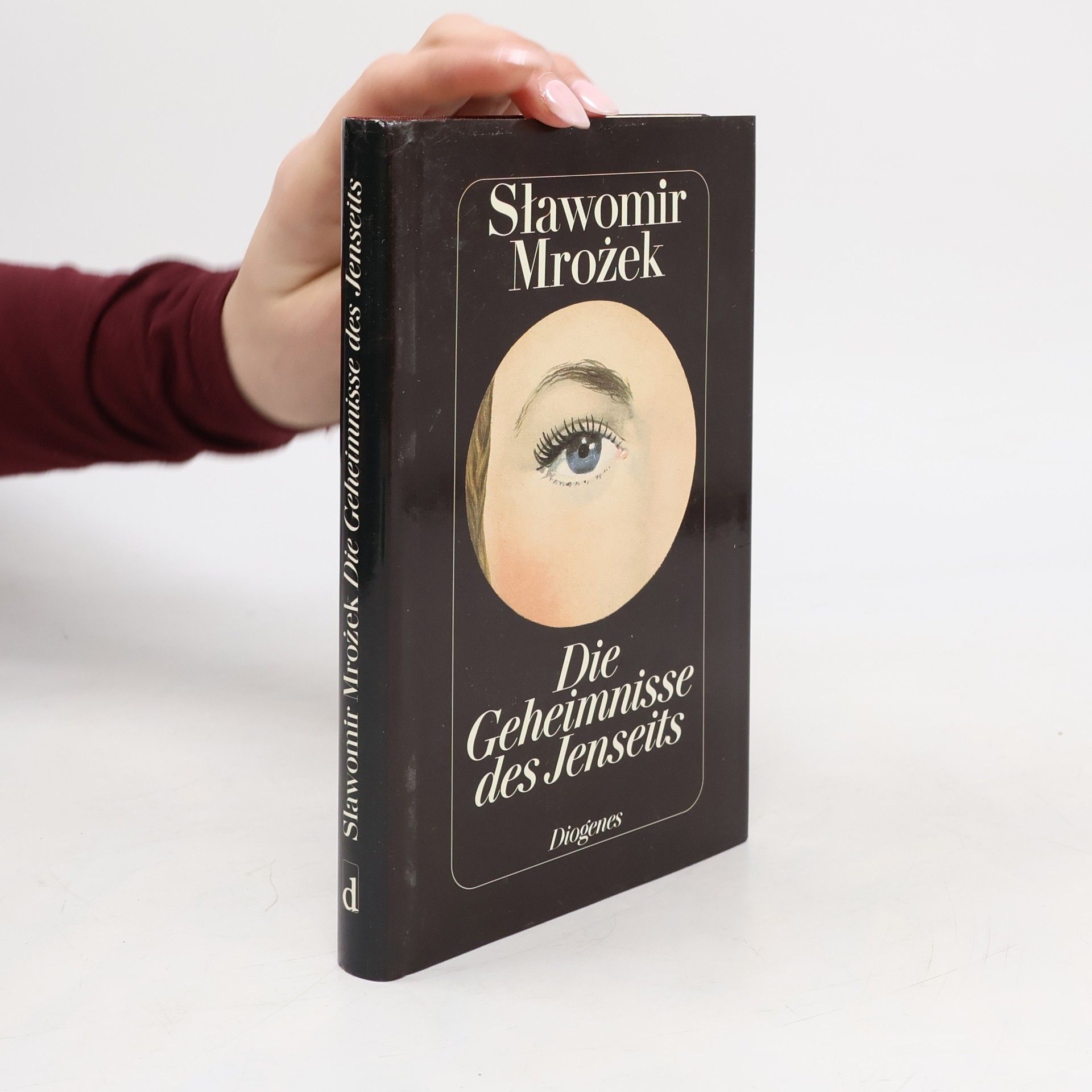 Sławomir Mrożek Die Geheimnisse des Jenseits und andere Geschichten