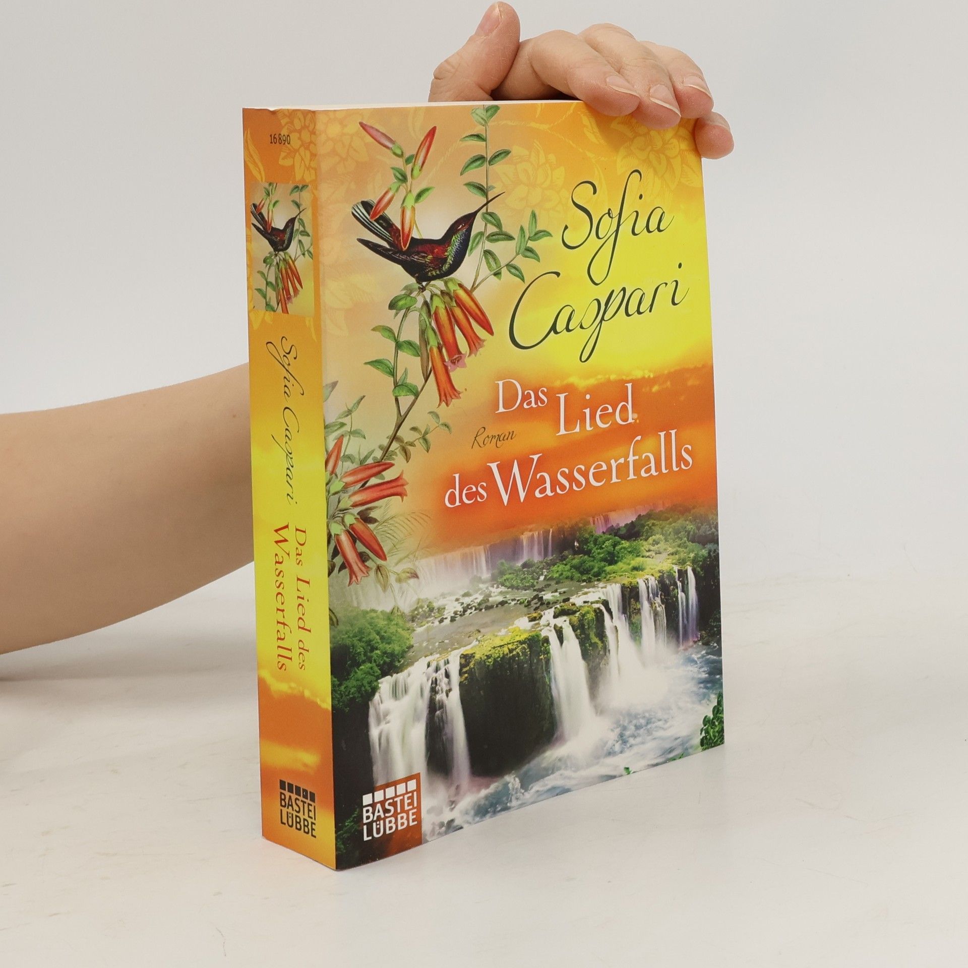 Sofia Caspari Das Lied des Wasserfalls