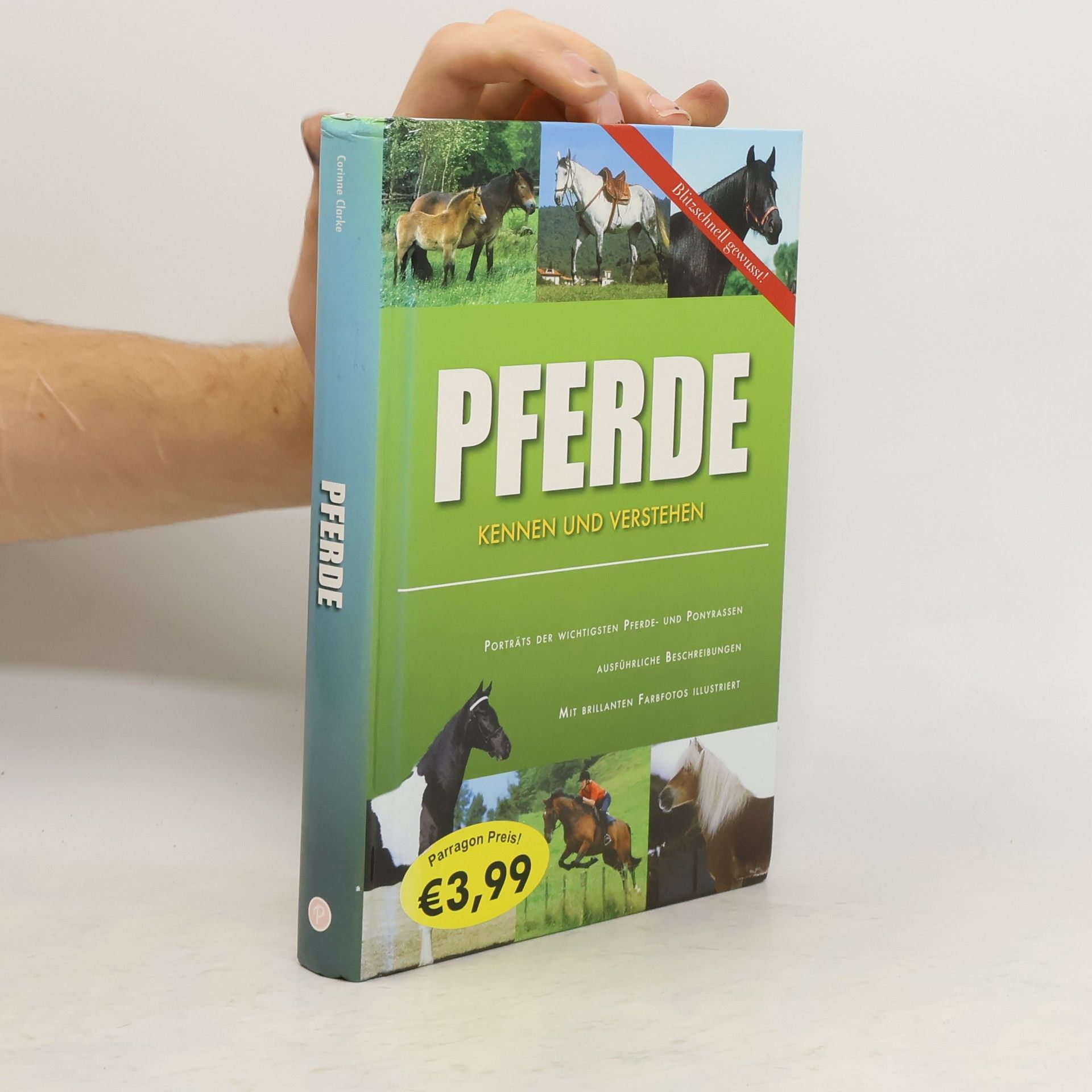 Pferde kennen und verstehen