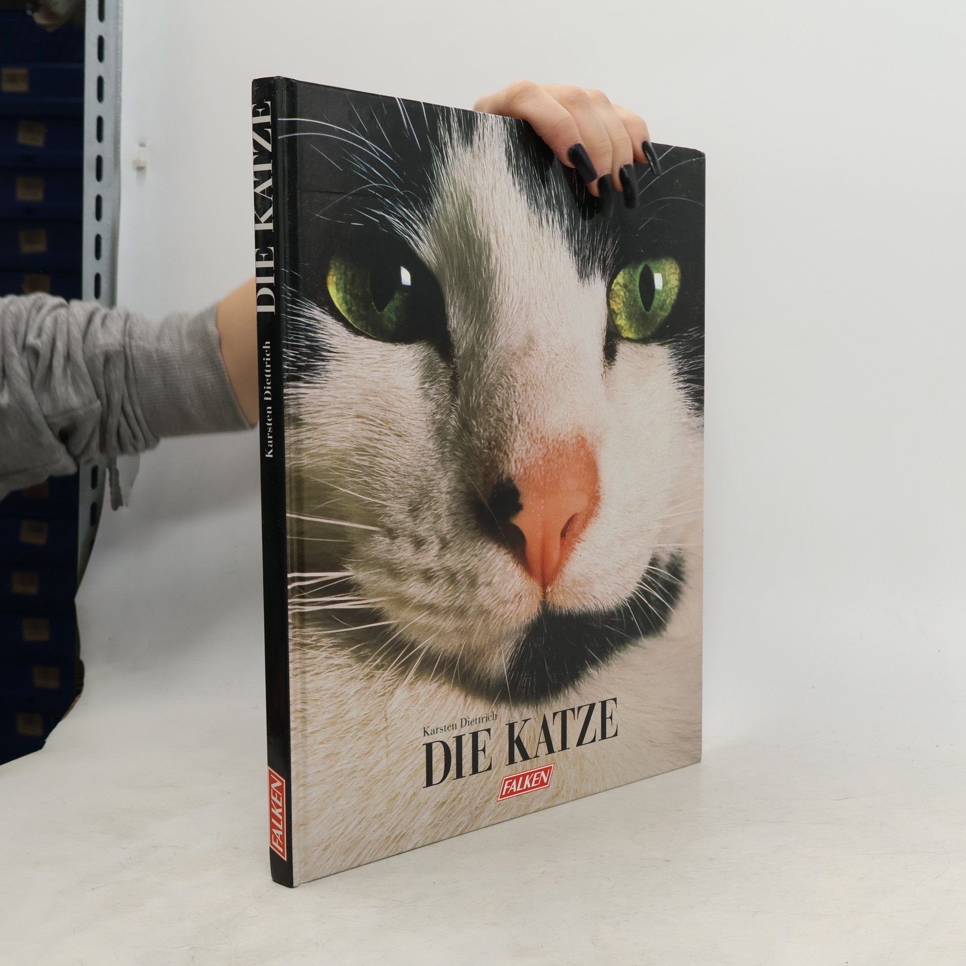Karsten Diettrich Die Katze