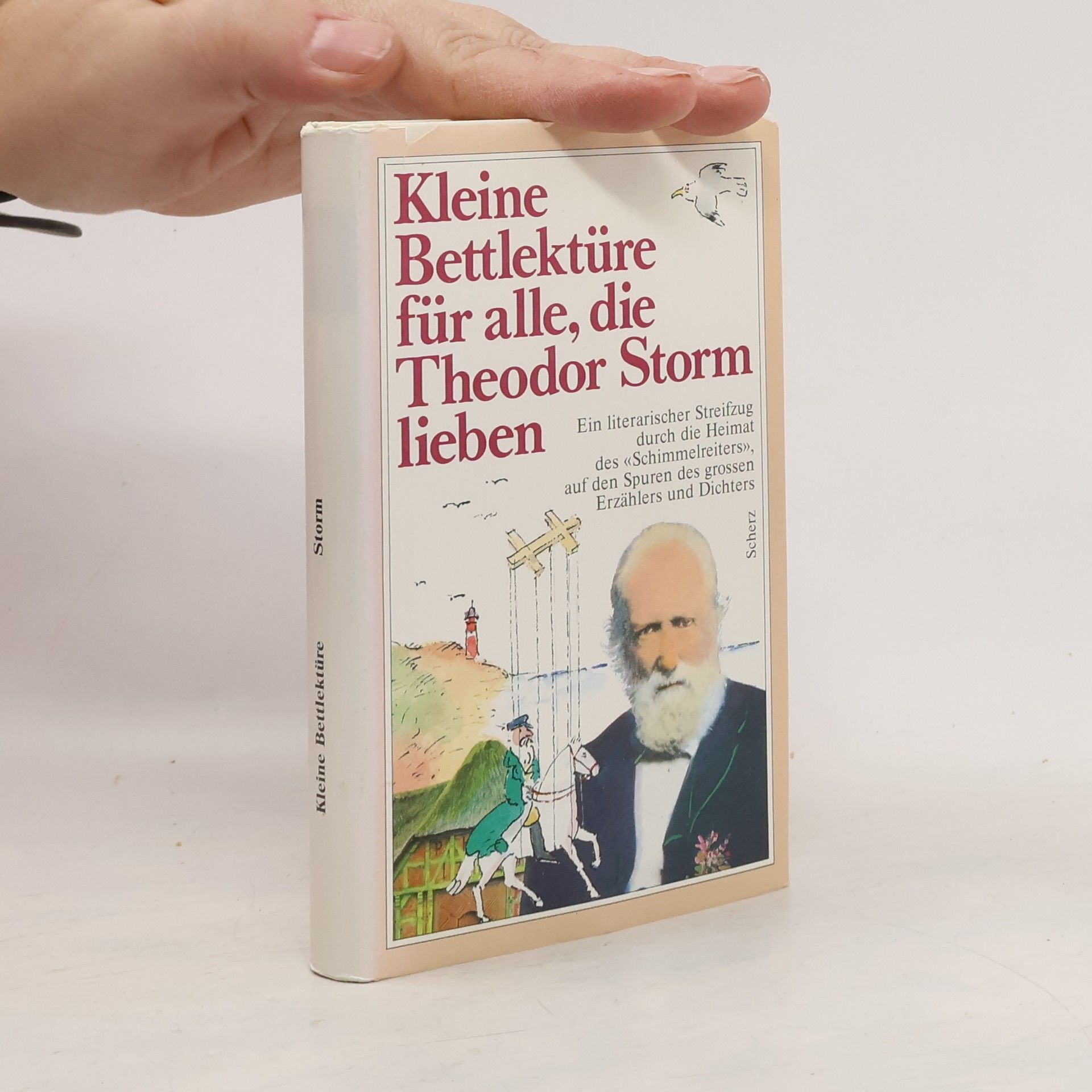 Petra Eisele Kleine Bettlektüre für alle, die Theodor Storm lieben