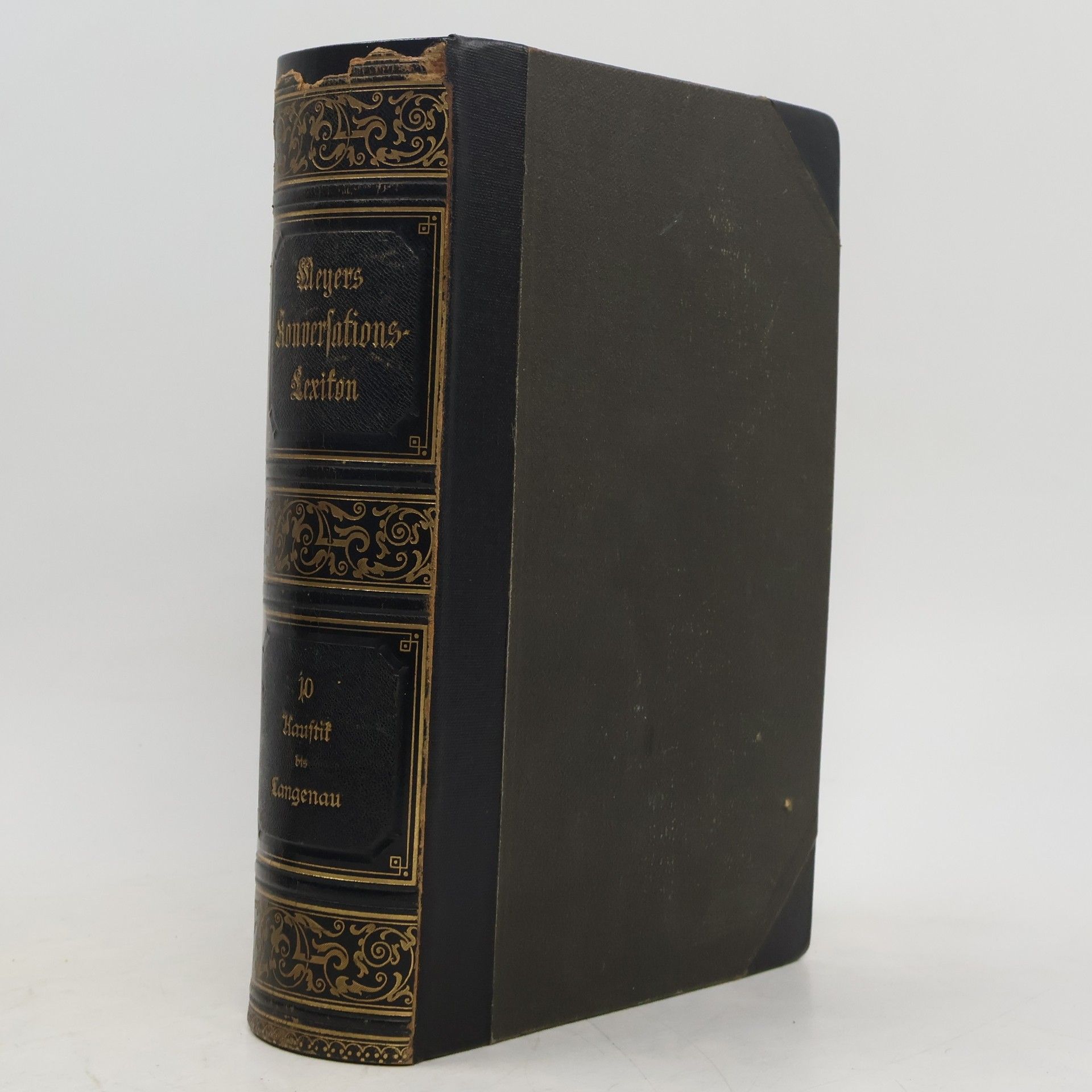 Kolektiv autorů Meyers Konversations Lexikon 10