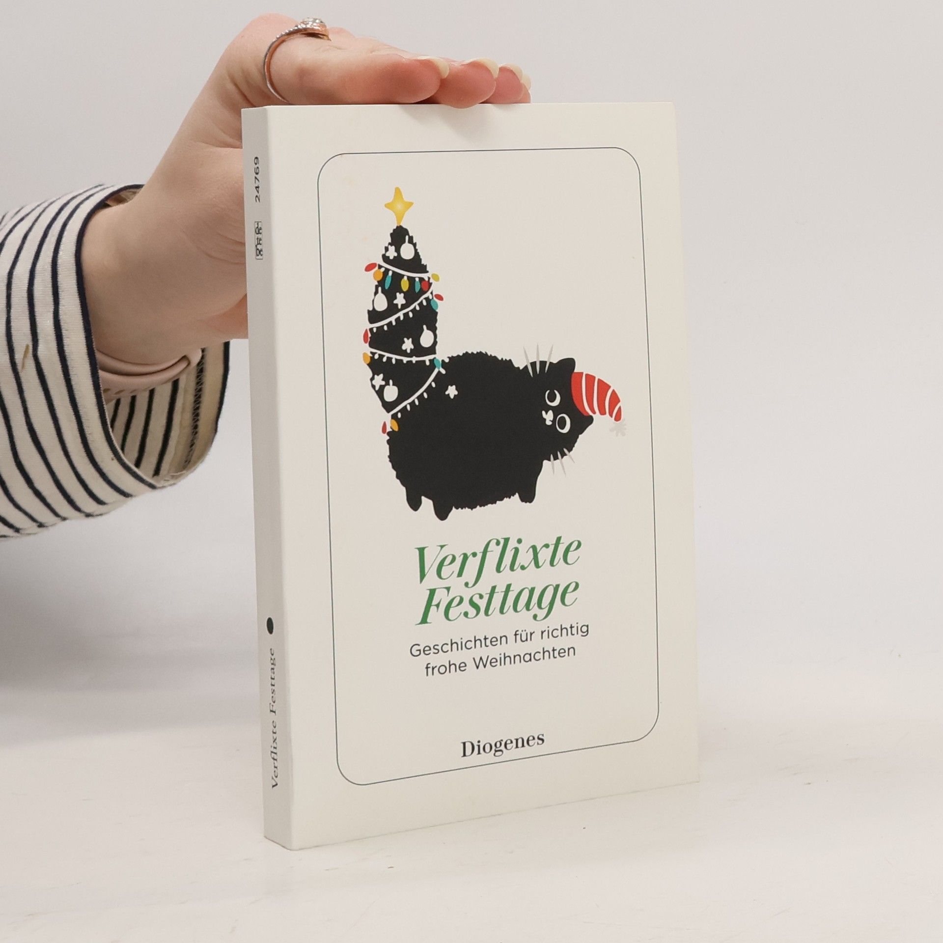 Autorenkollektiv Verflixte Festtage