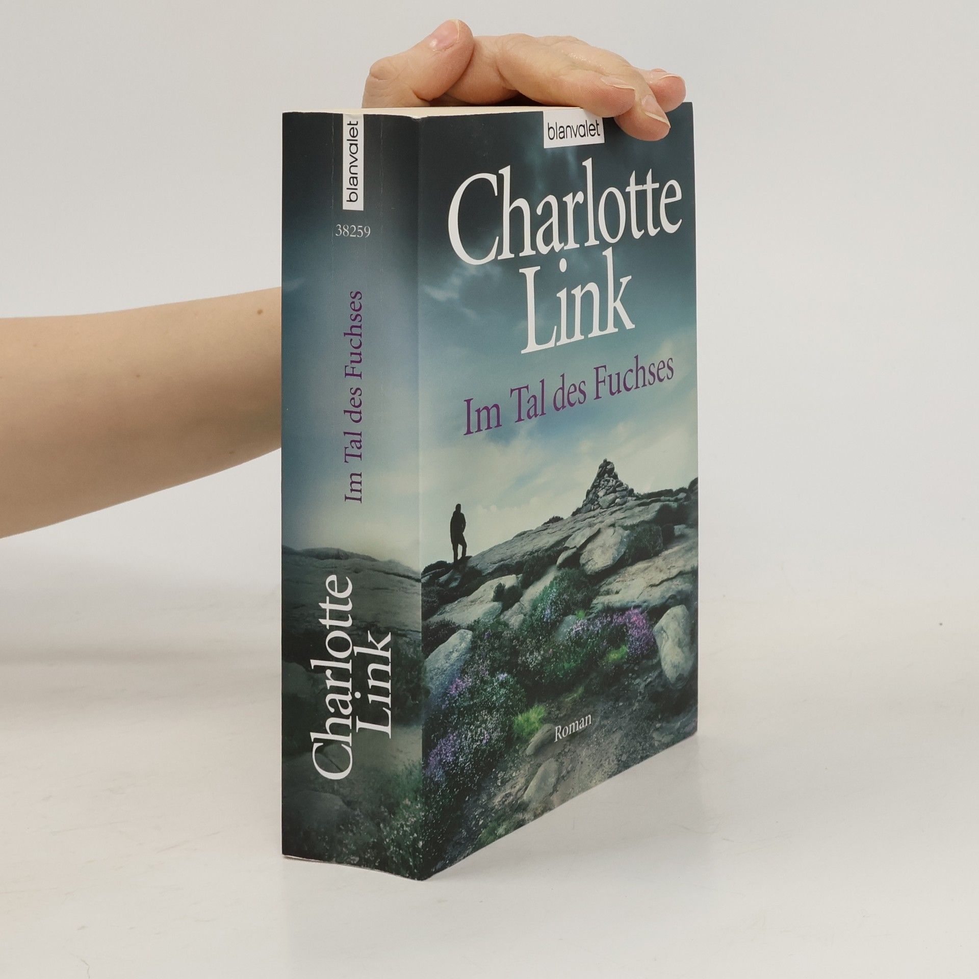 Charlotte Link Im Tal des Fuchses