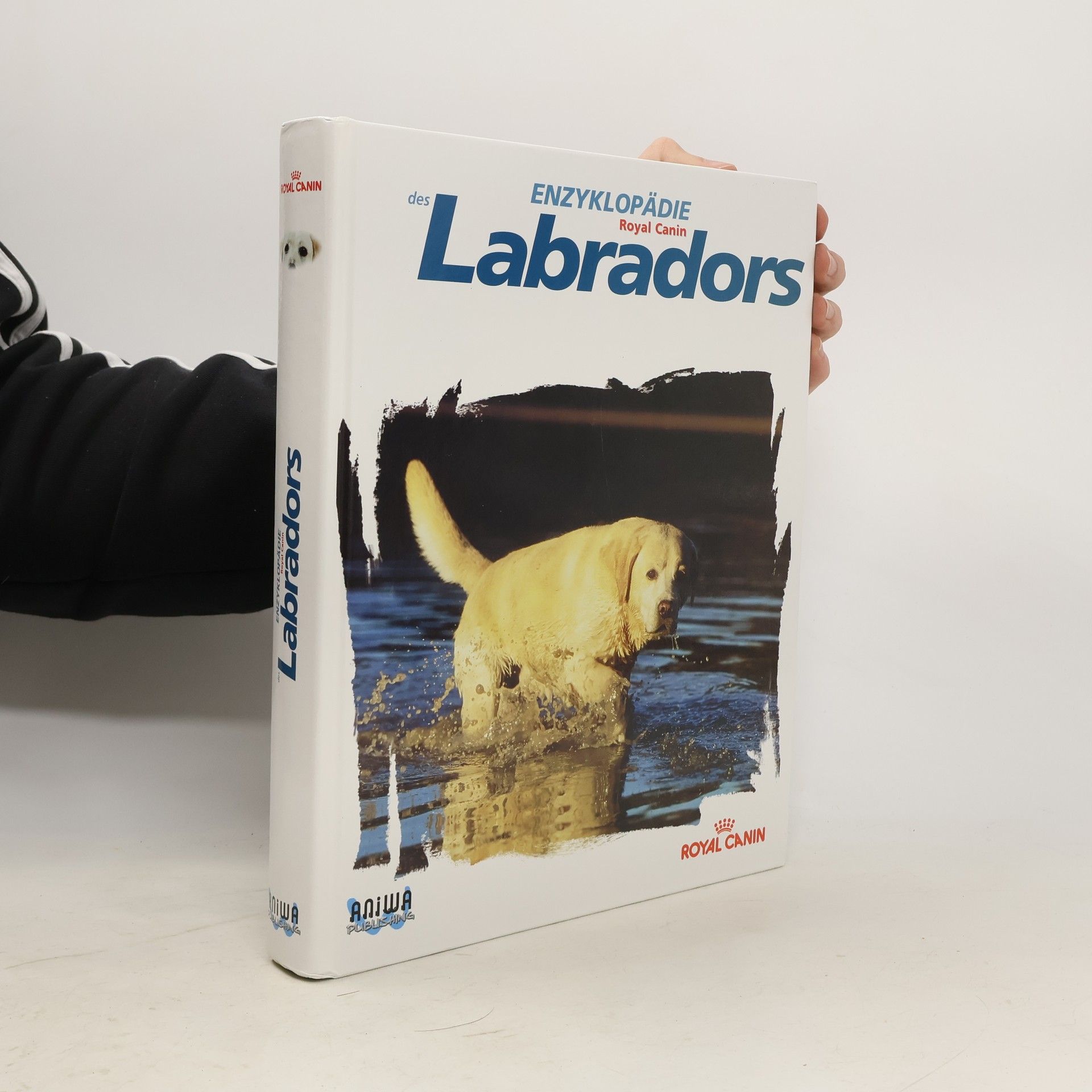 Auteurscollectief Enzyklopädie des Labradors