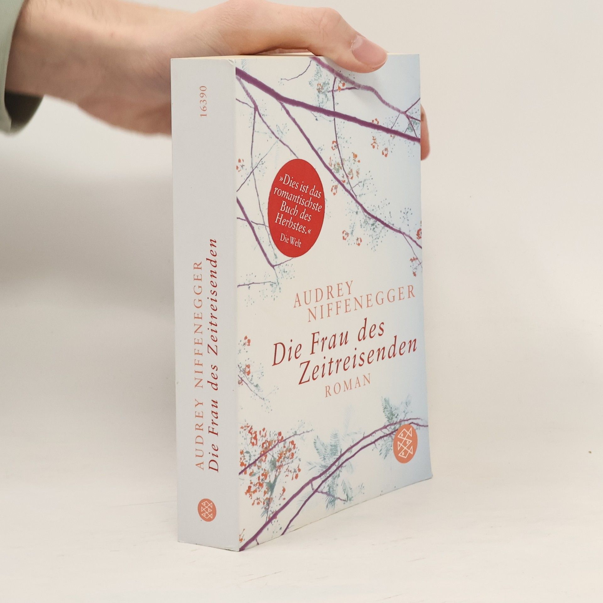 Die Frau des Zeitreisenden