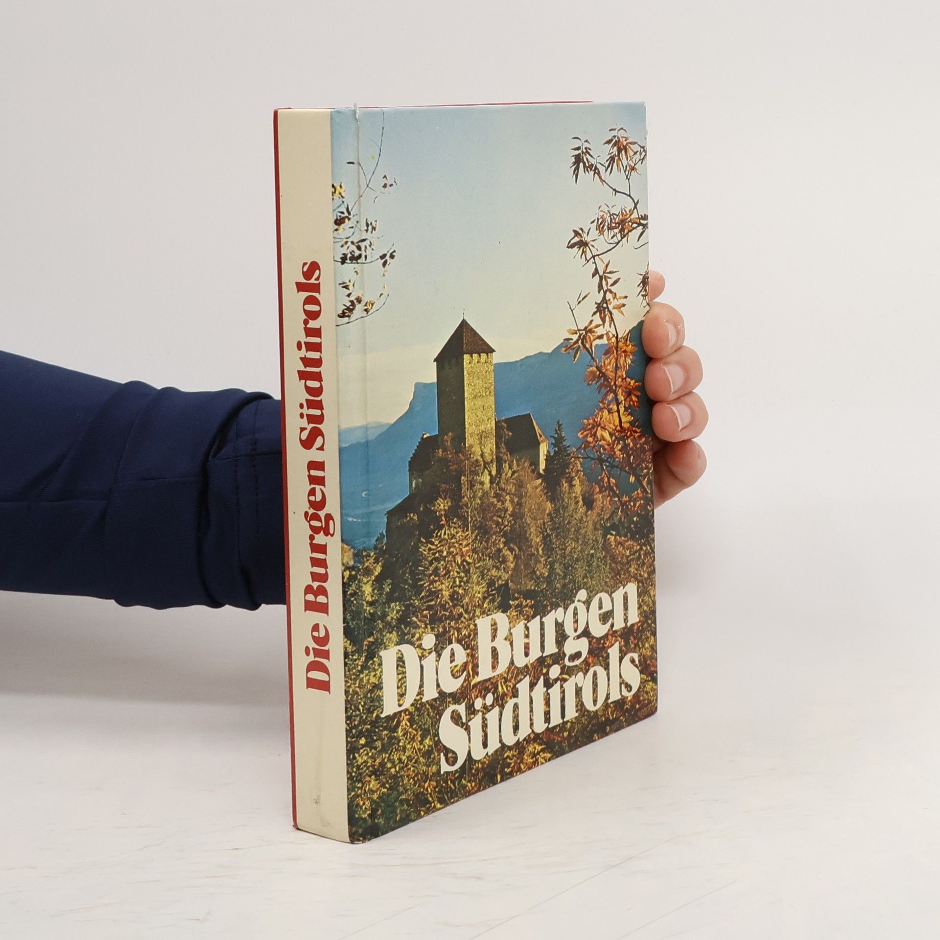 Die Burgen Südtirols