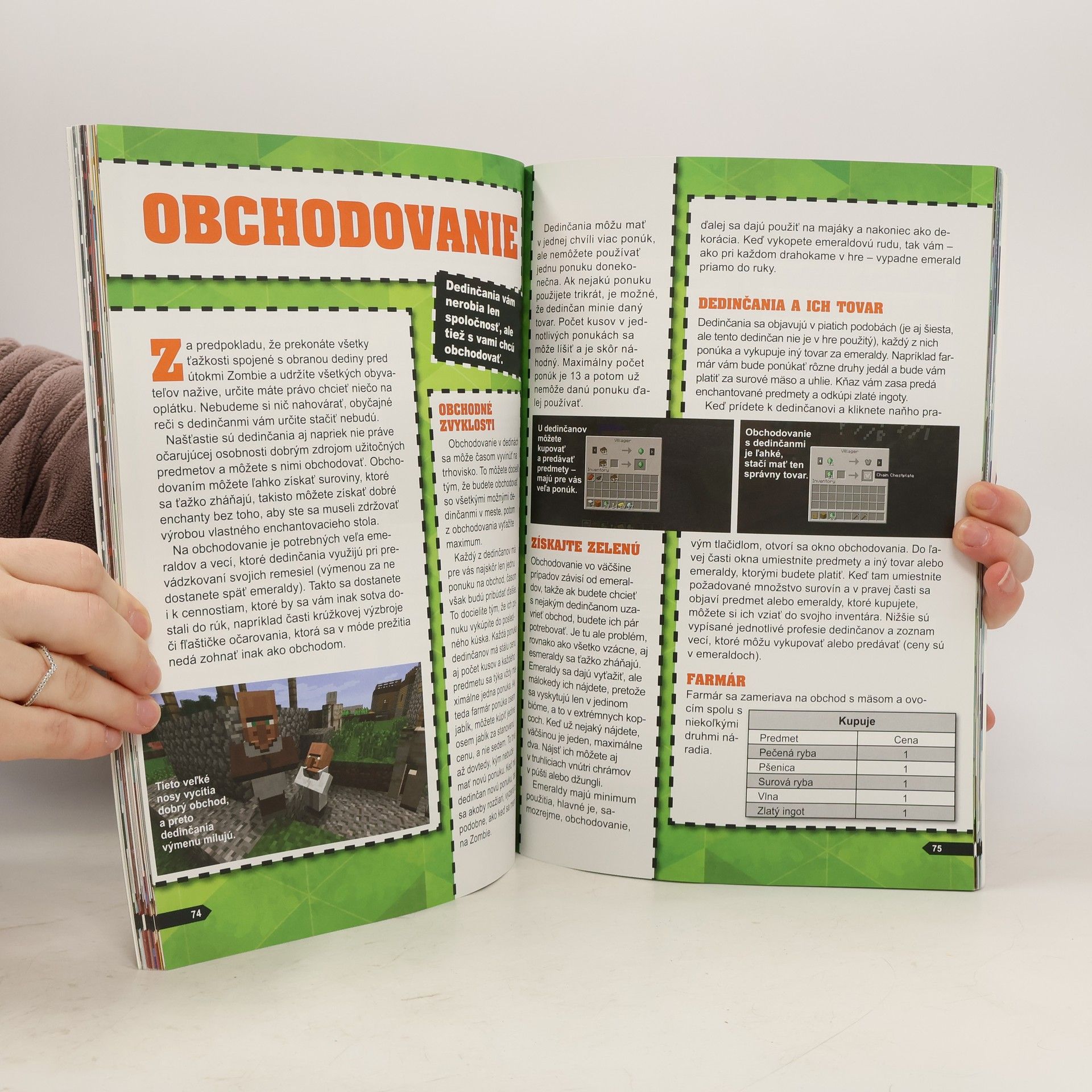 Autorenkollektiv Minecraft - Staň sa majstrom