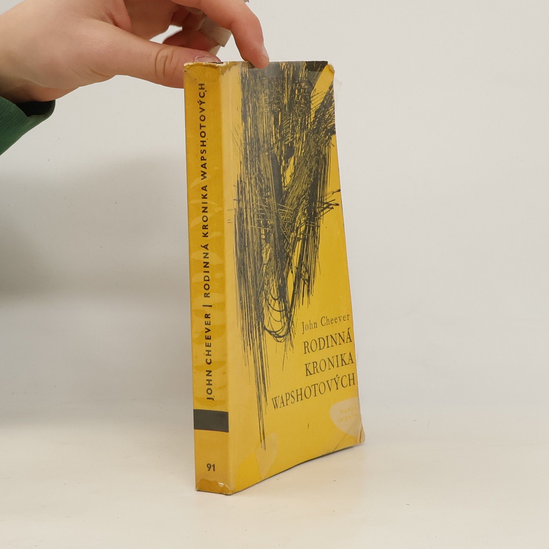 Rodinná kronika Wapshotových