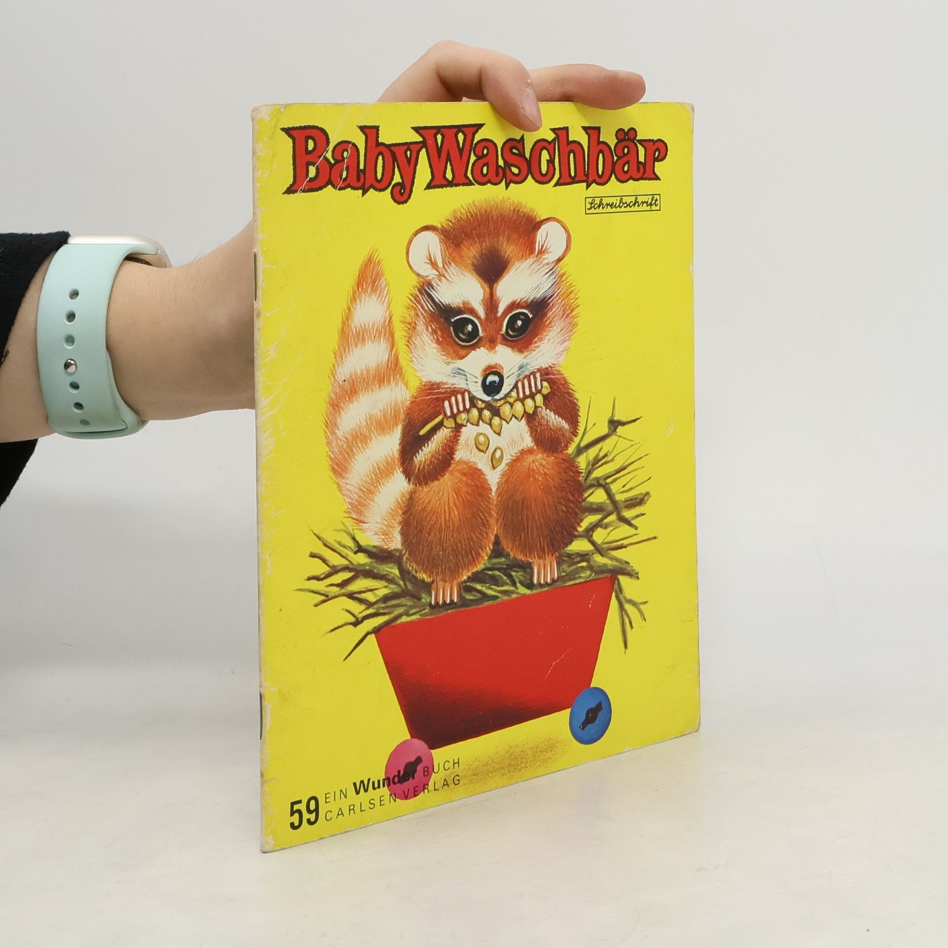 Baby Waschbär