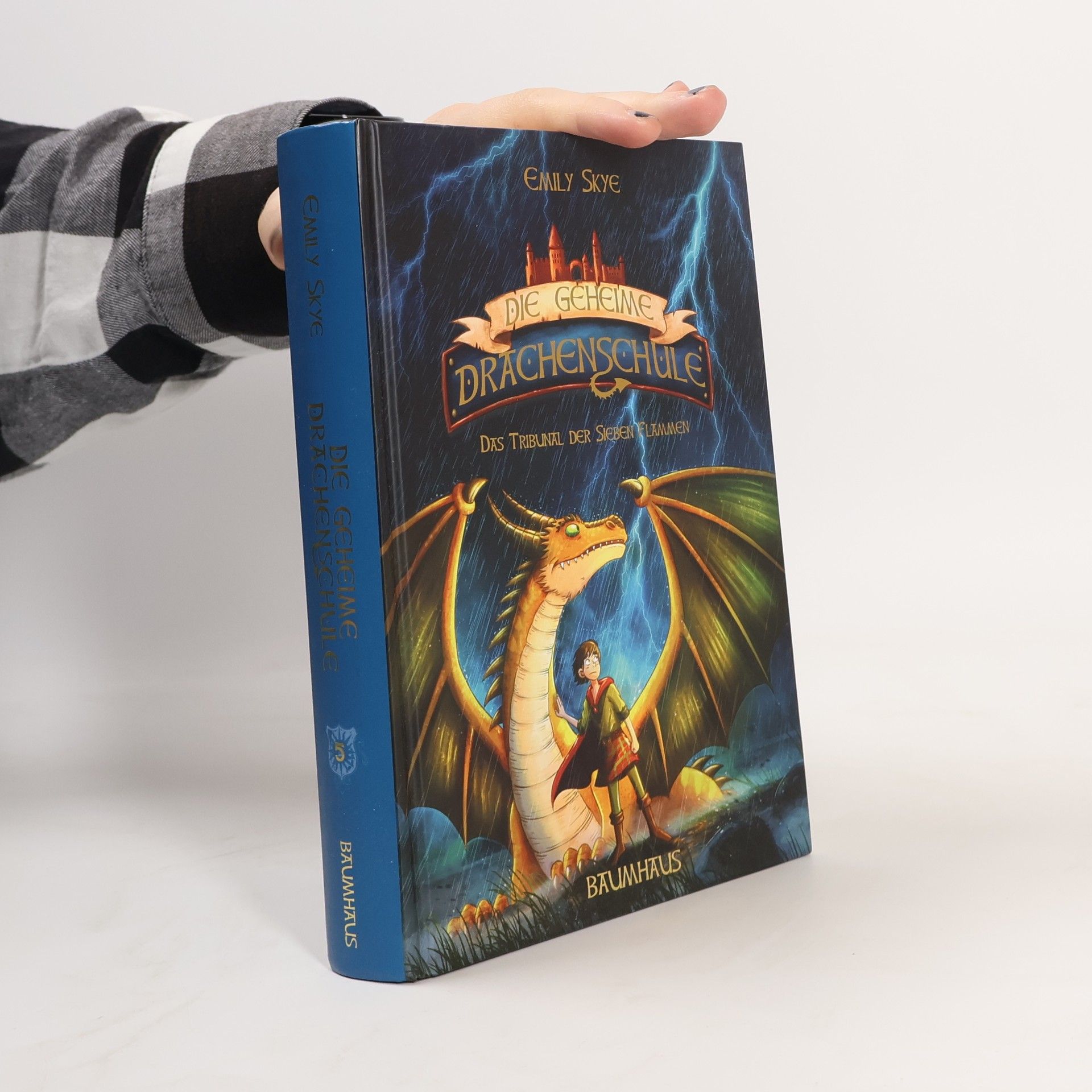 Emily Skye Drachenschule. Das Tribunal der sieben Flammen