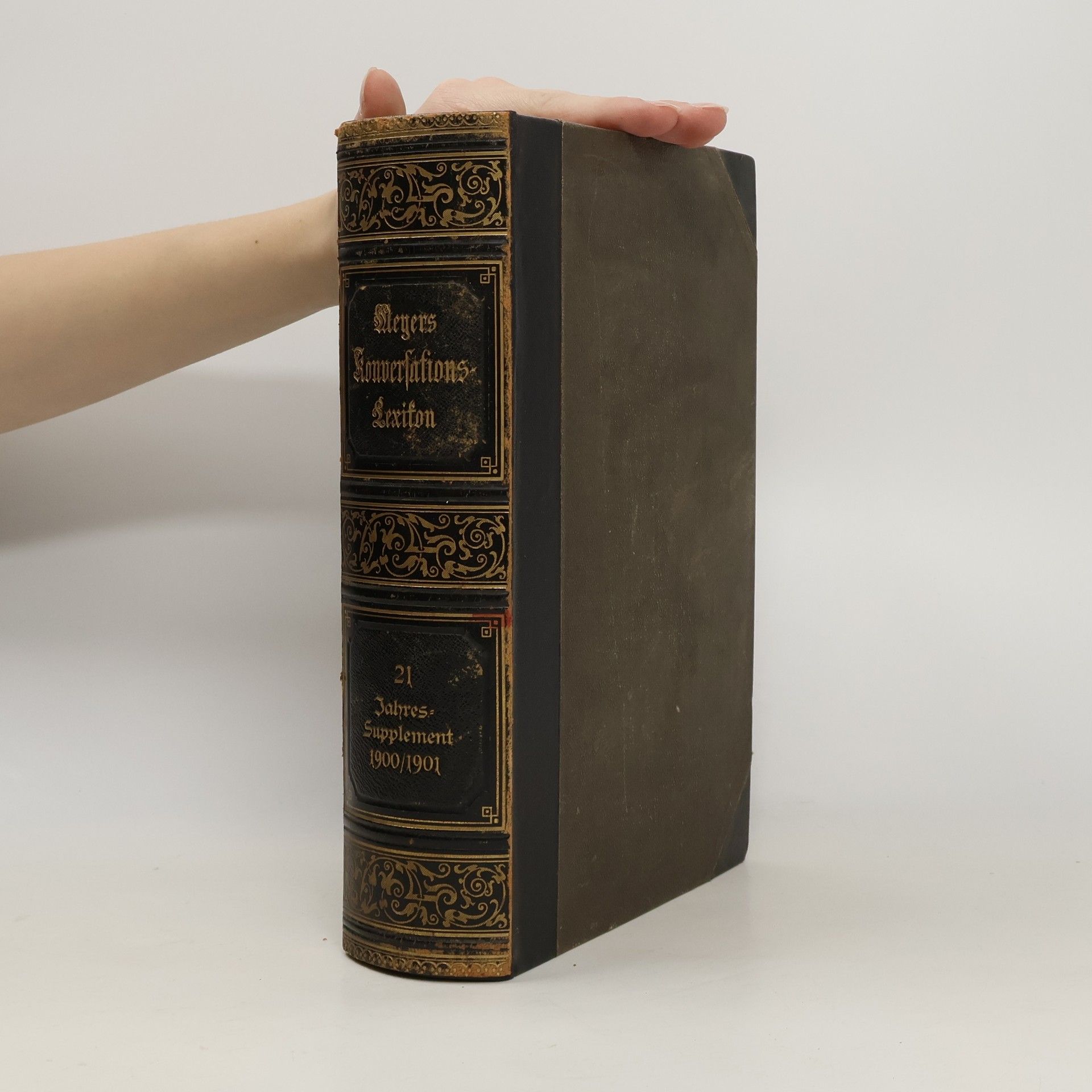 Kolektiv autorů Meners Konversations-Lexikon 11