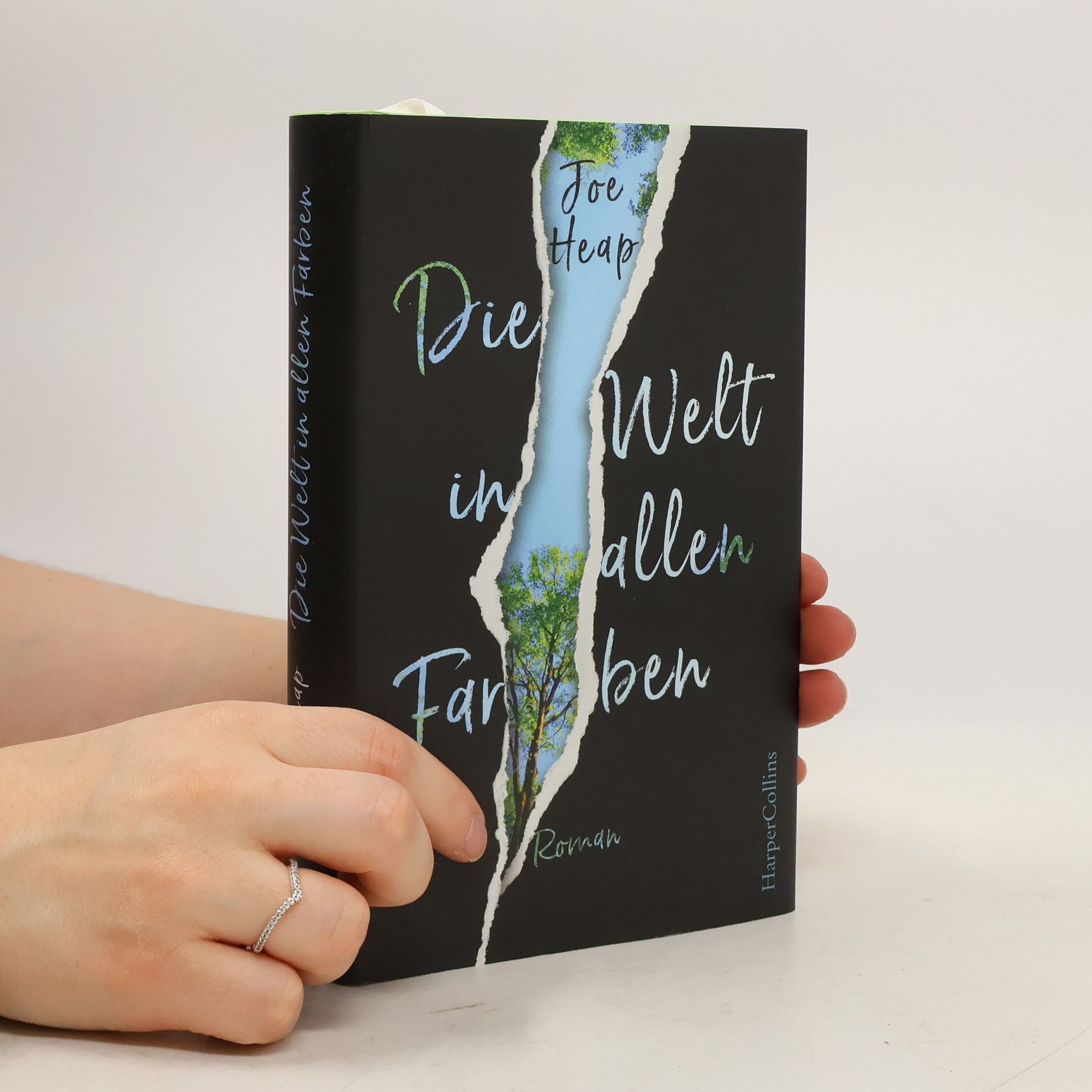 Joe Heap Die Welt in allen Farben