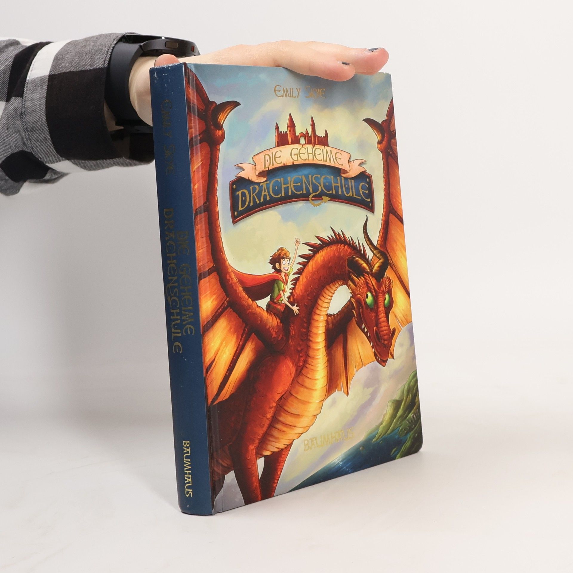 Emily Skye Die geheime Drachenschule