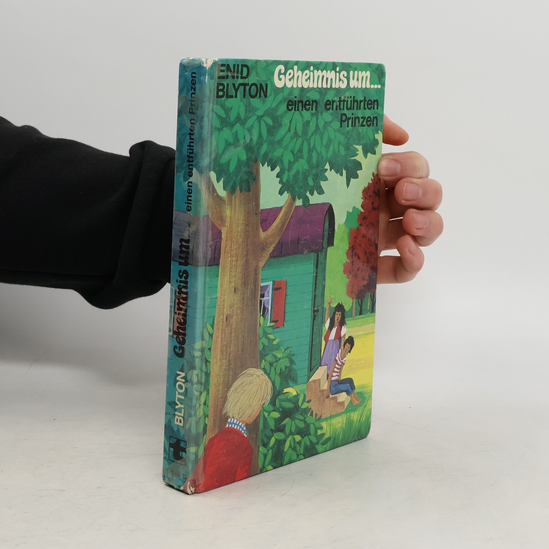 Enid Blyton Geheimnis um... einen entführten Prinzen