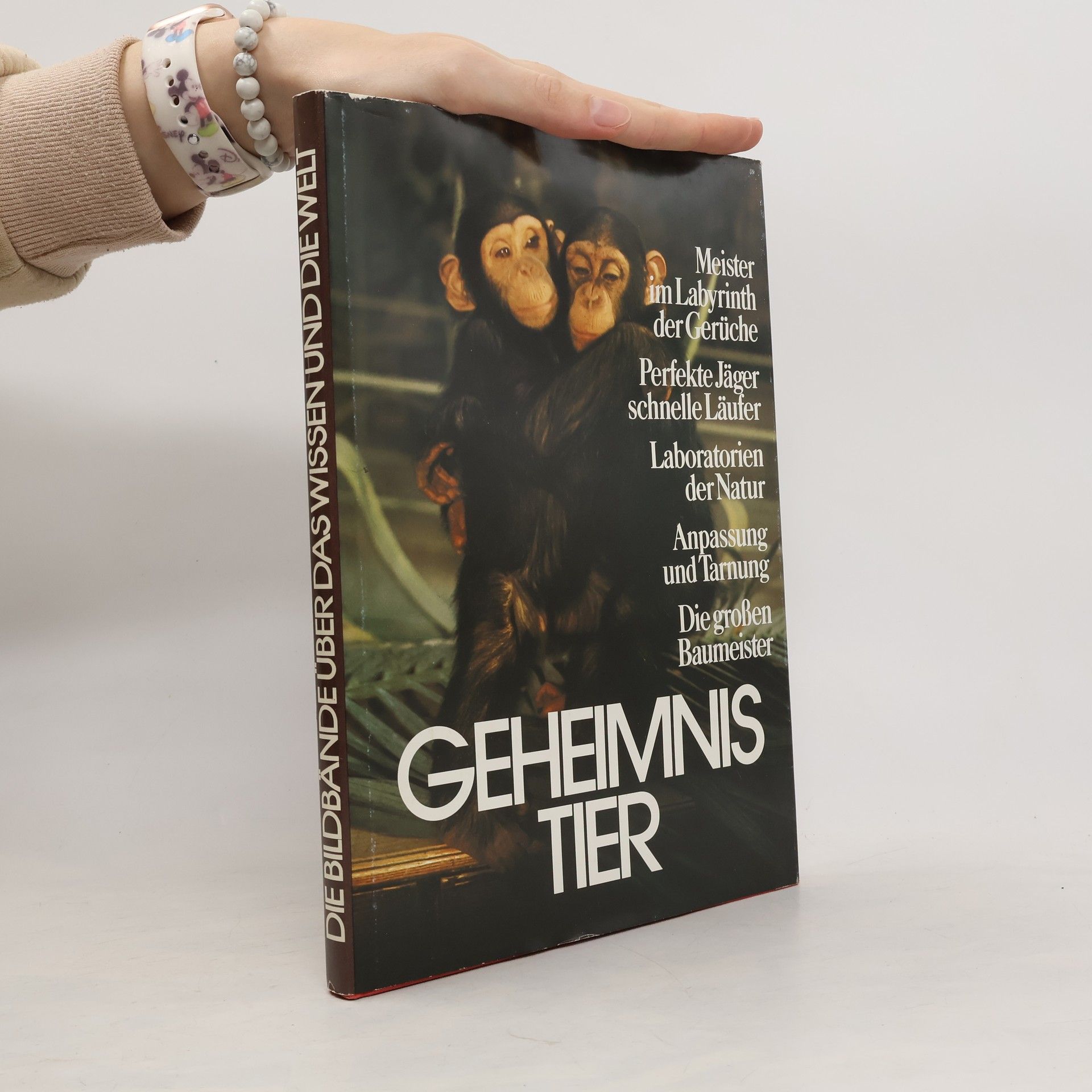 Autorenkollektiv Geheimnis Tier