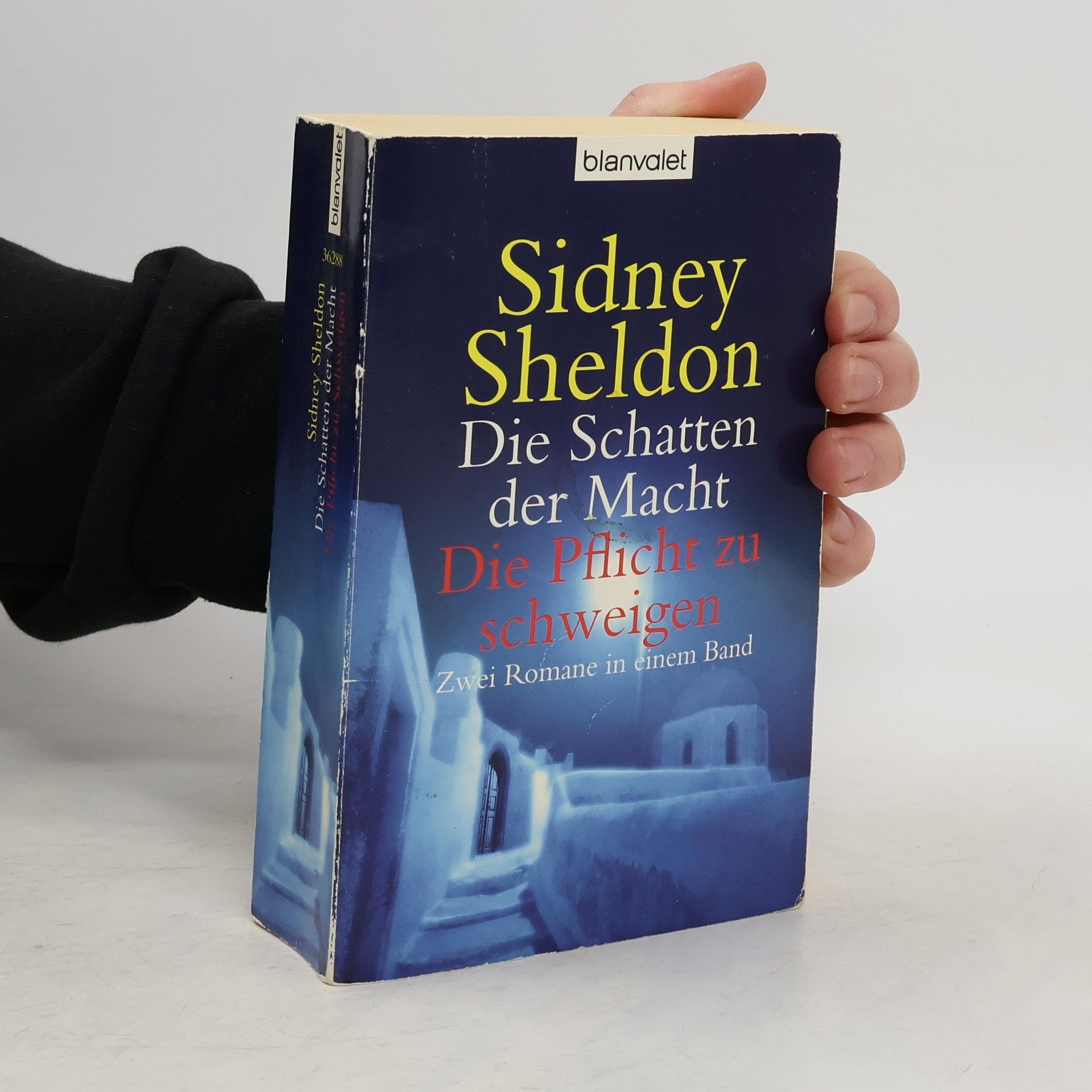 Sidney Sheldon Die Schatten der Macht