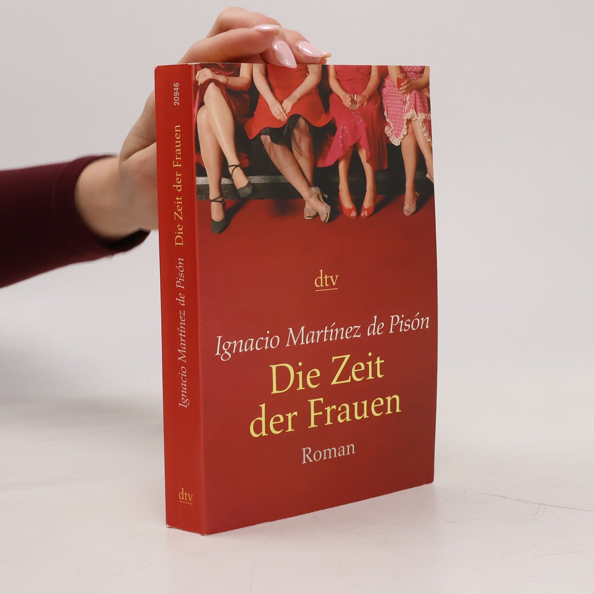 Ignacio Martínez de Pisón Die Zeit der Frauen