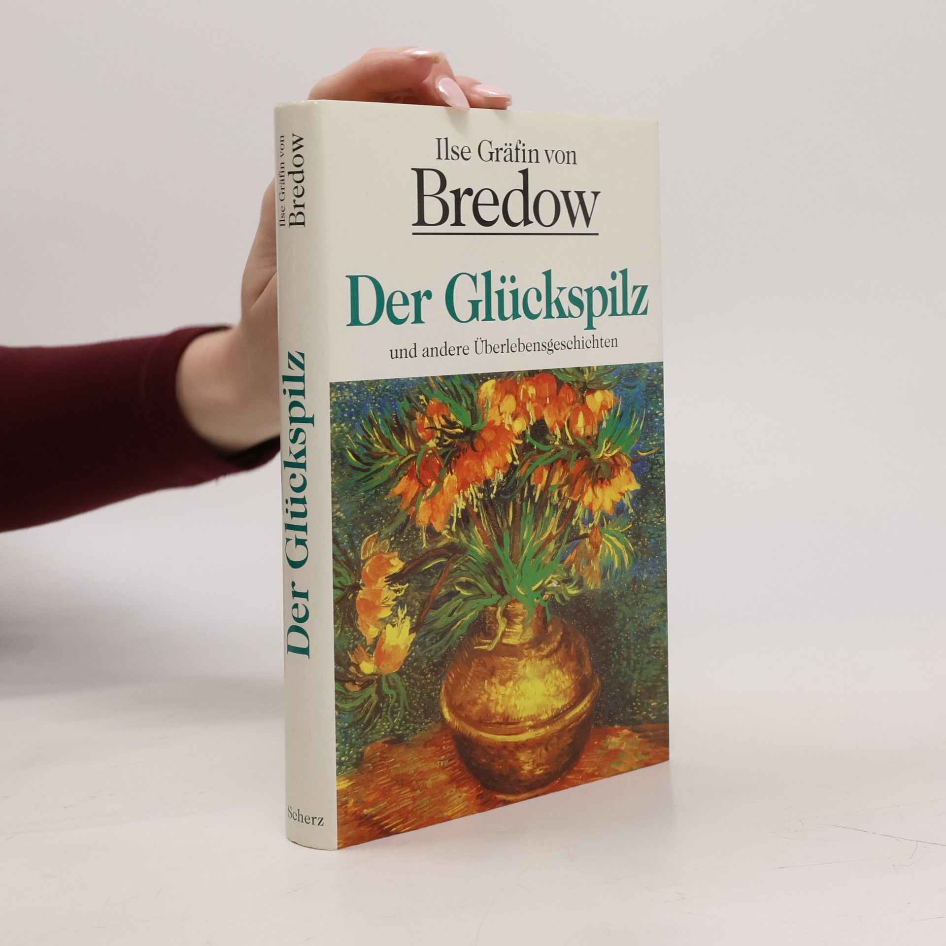 Ilse Gräffin von Bredow  Der Glückspilz und andere Überlebensgeschichten
