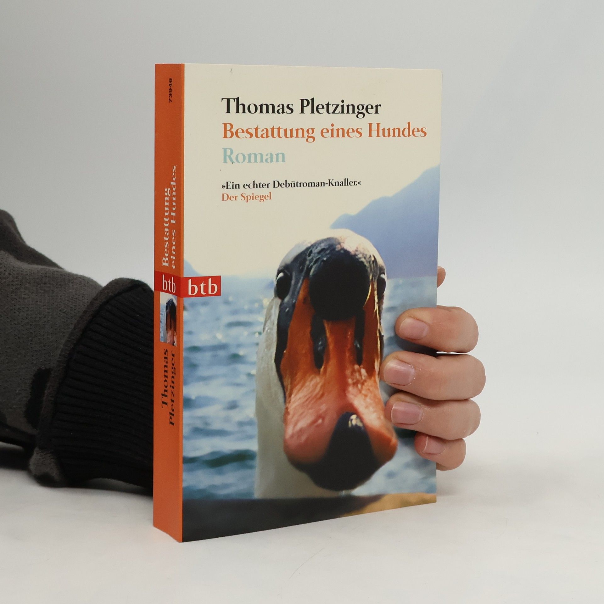 Bestattung eines Hundes