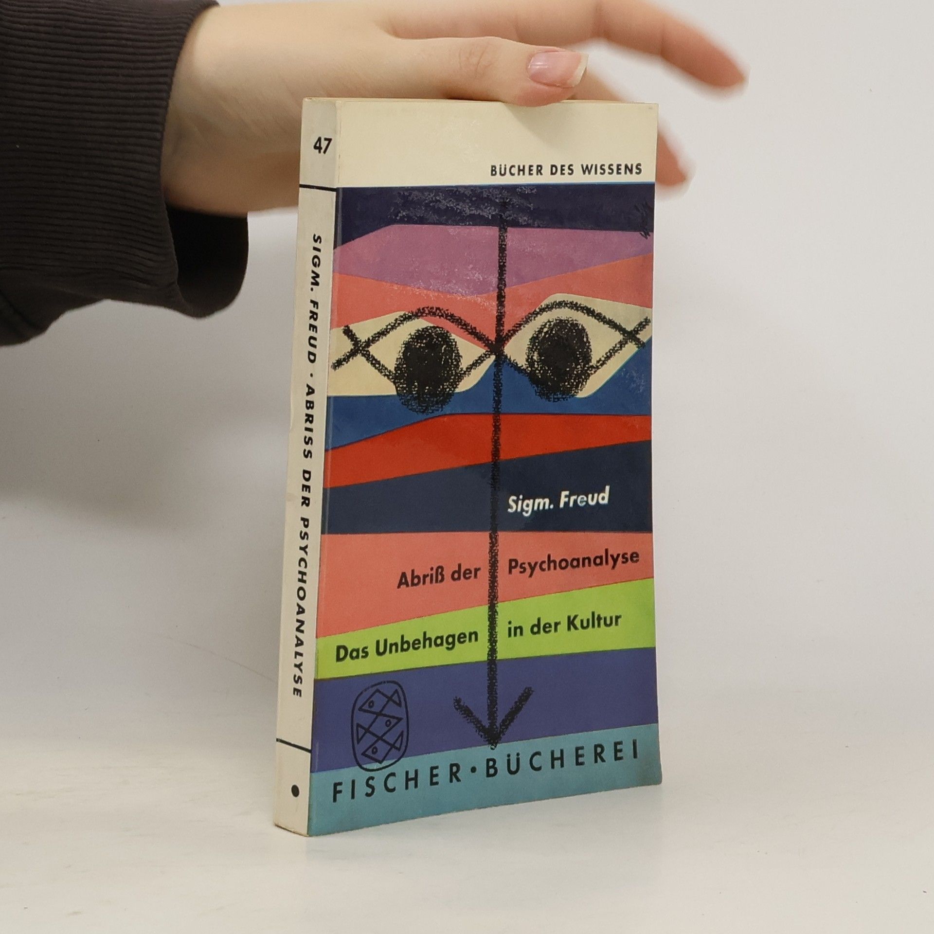 Sigmund Freud Abriss der Psychoanalyse