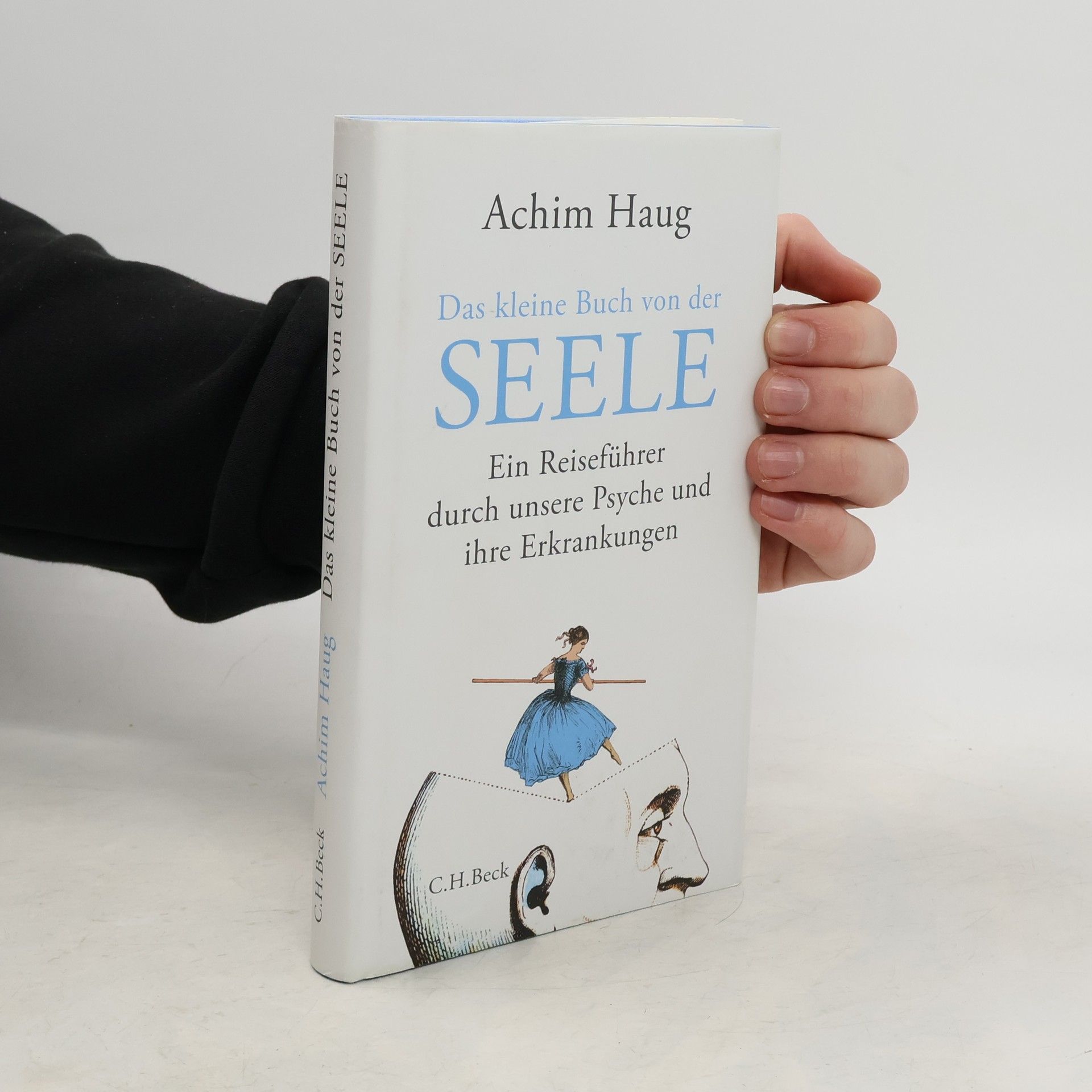 Achim Haug Das kleine Buch von der Seele