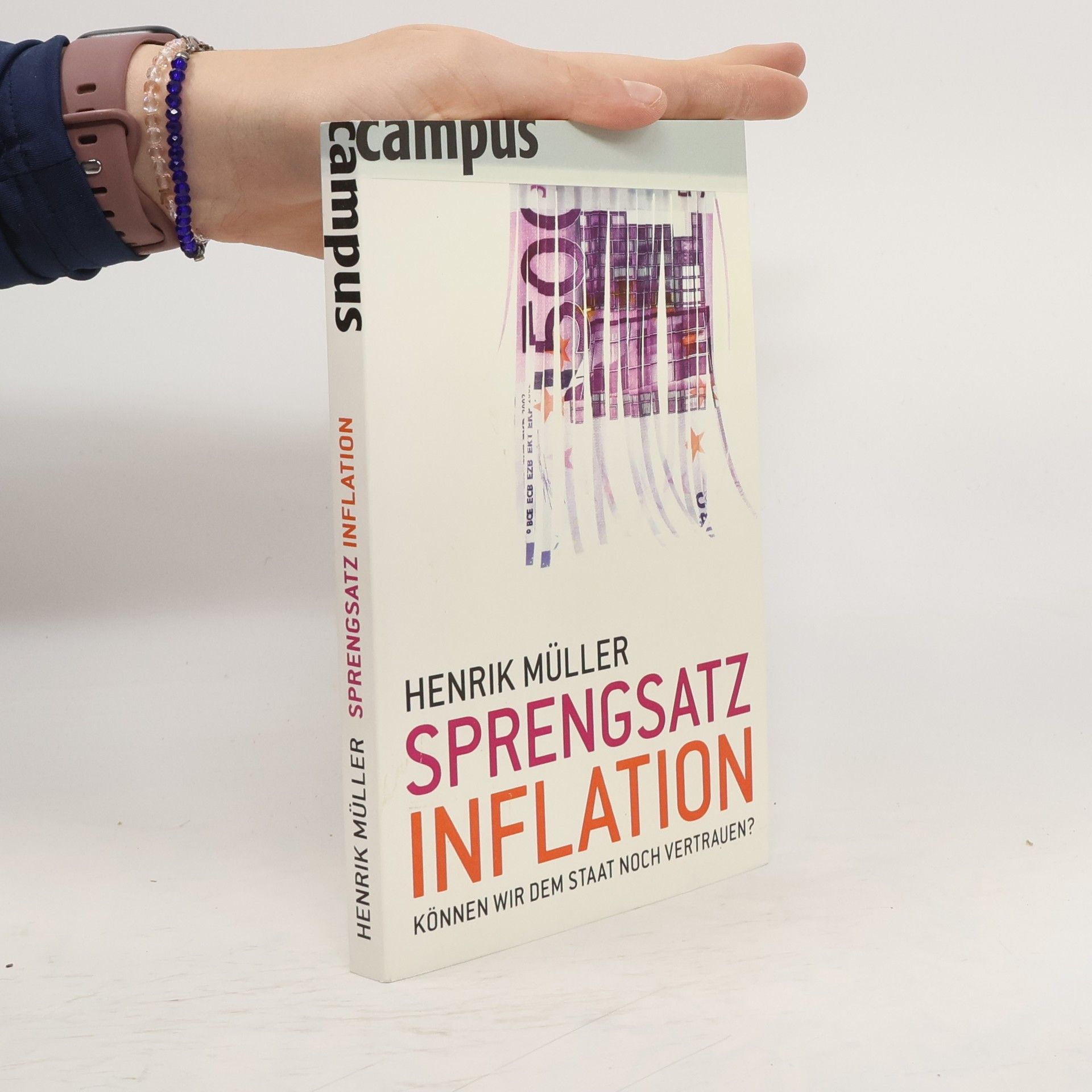 Henrik Müller Sprengsatz Inflation