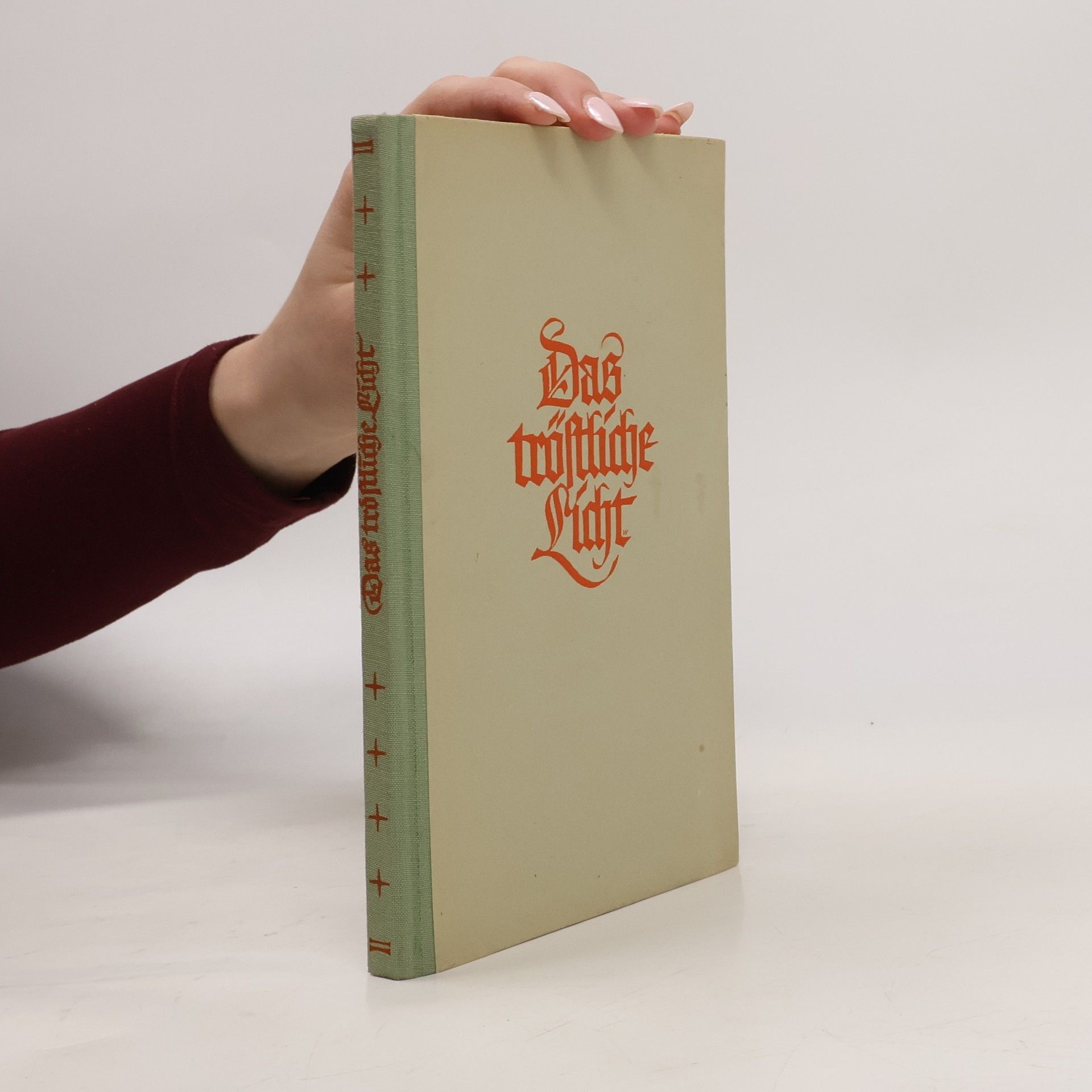 Erika Matthias Das tröstliche Licht