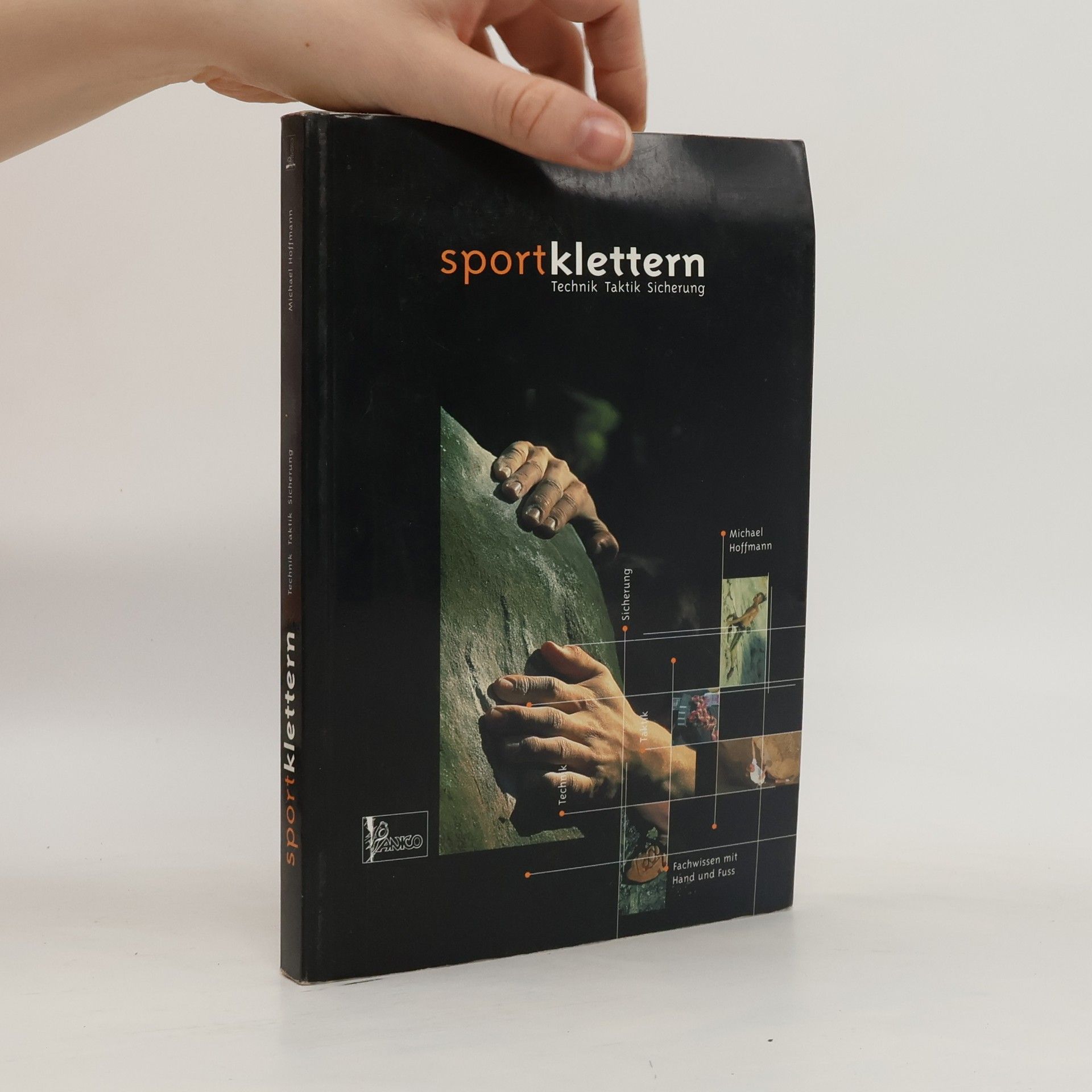 Michael Hoffmann Sportklettern. Technik, Taktik, Sicherung