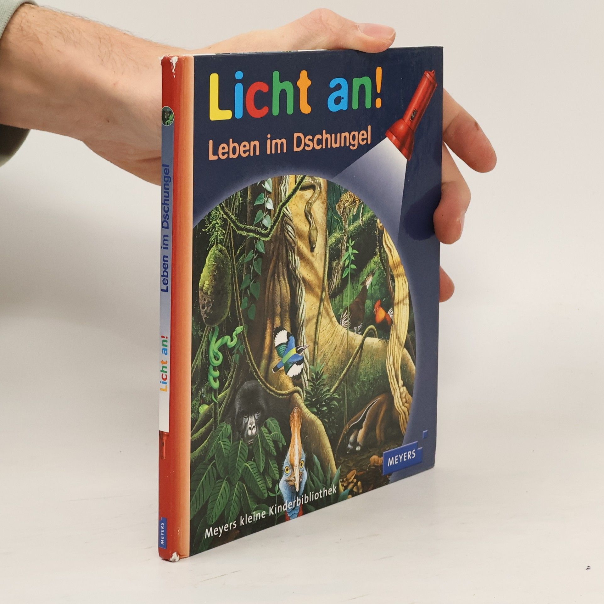 Autorenkollektiv Licht an! Leben im Dschungel