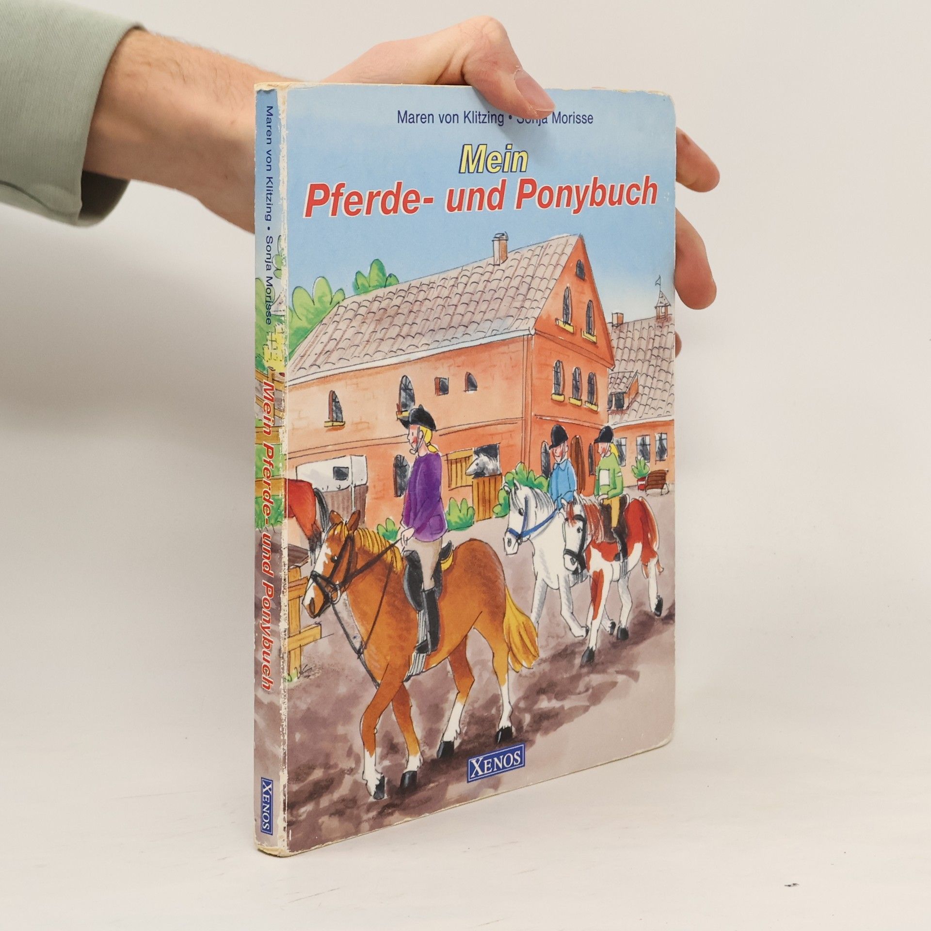 Maren von Klitzing Mein Pferde- und Ponybuch
