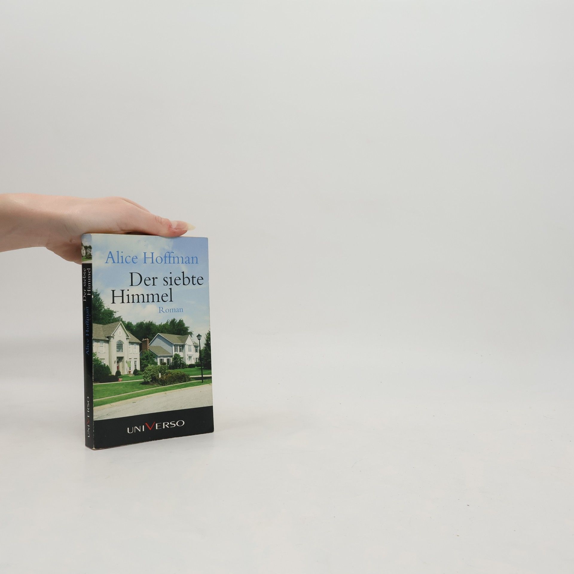 Alice Hoffman Der siebte Himmel