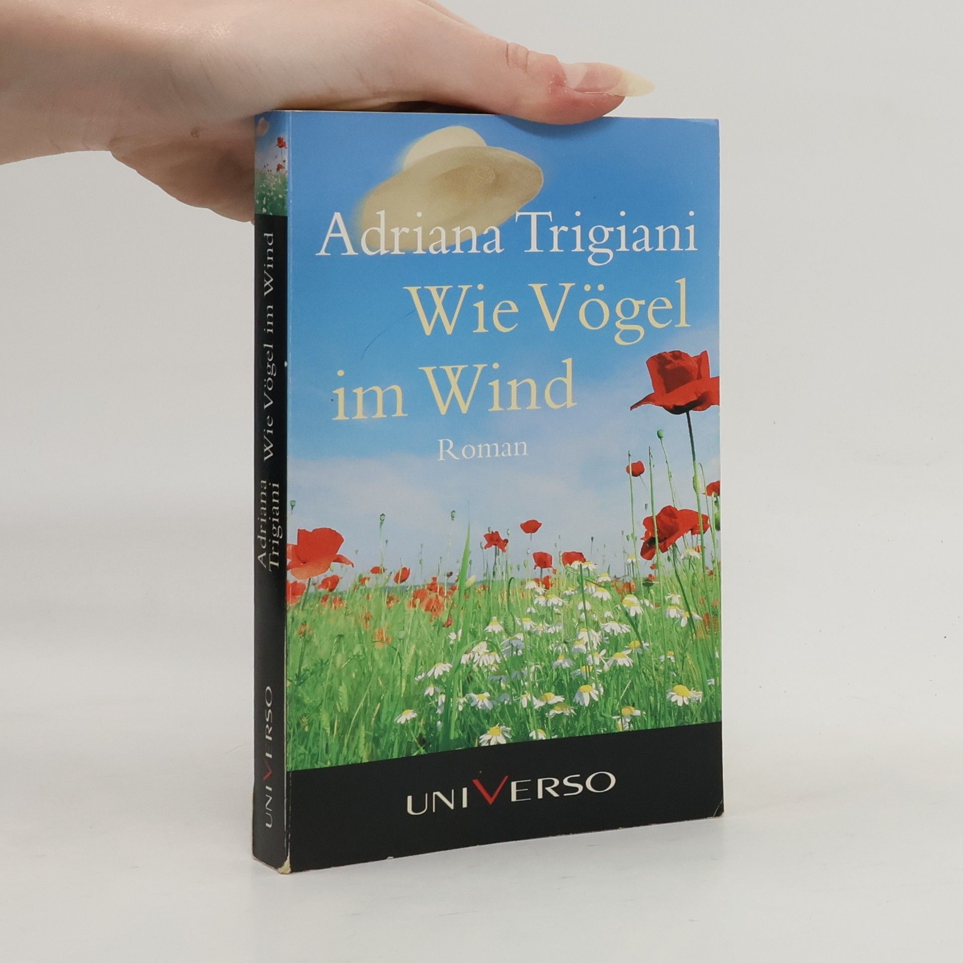 Adriana Trigiani Wie Vögel im Wind