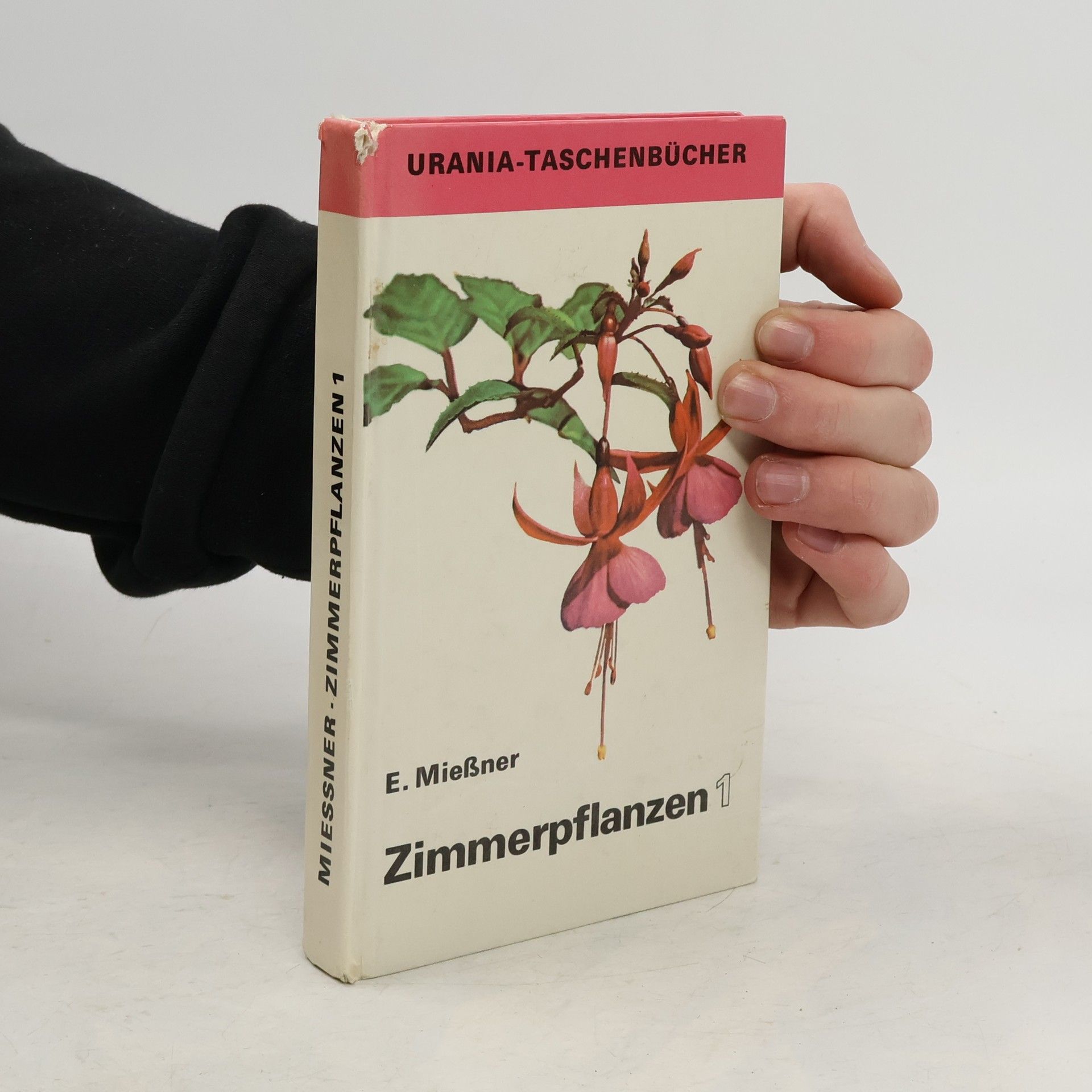 Zimmerpflanzen 1
