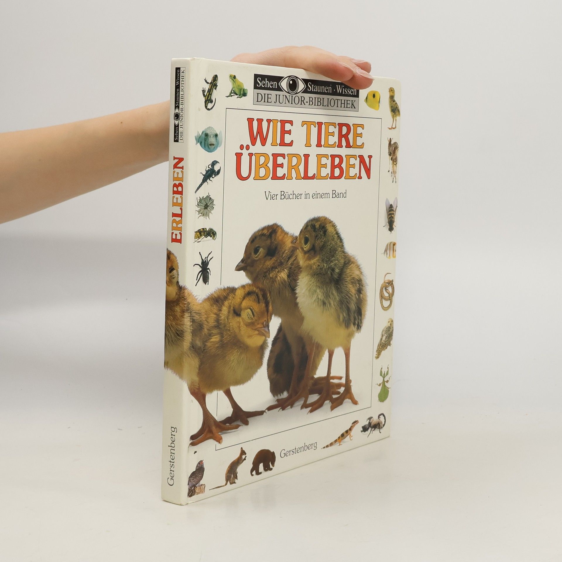 Margot Wilhelmi Wie Tiere überleben