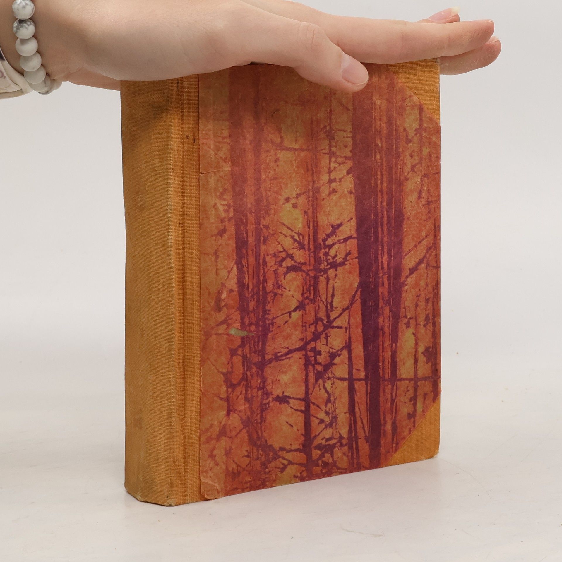 Gotthold Klee Deutsche Heldensagen