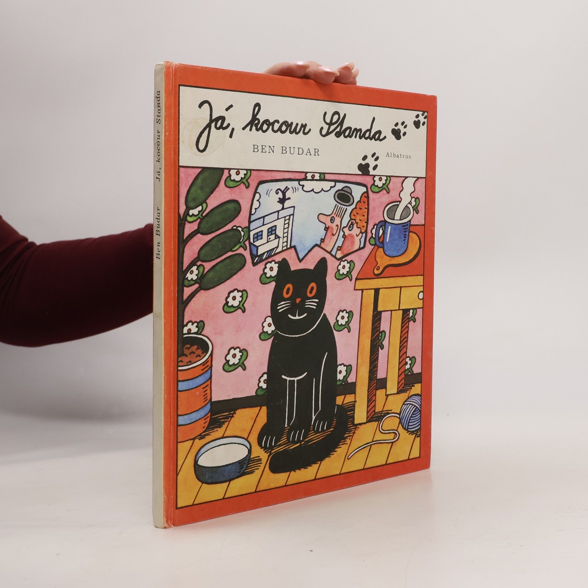Já, kocour Standa