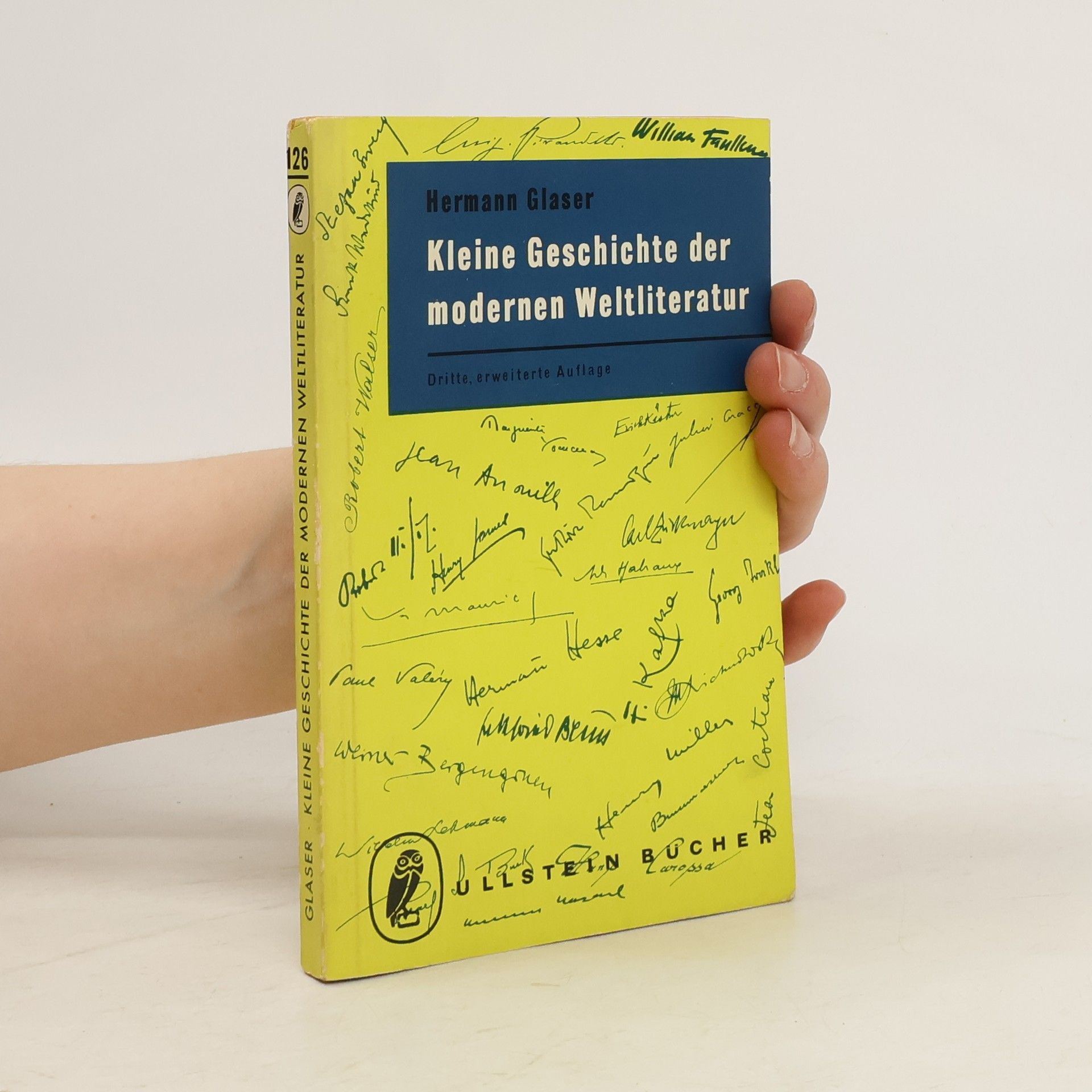 Hermann Glaser Kleine Geschichte der modernen Weltliteratur