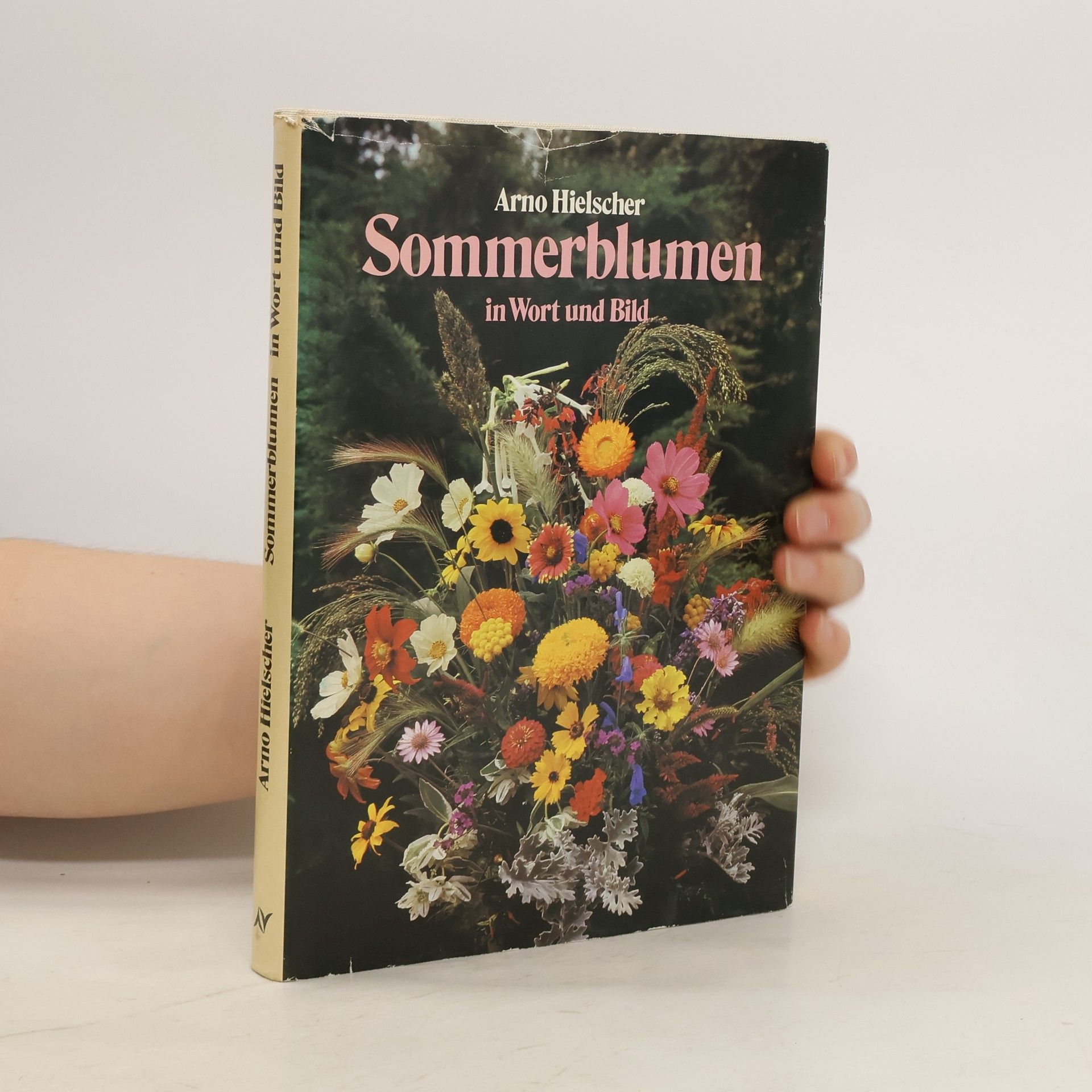 Sommerblumen