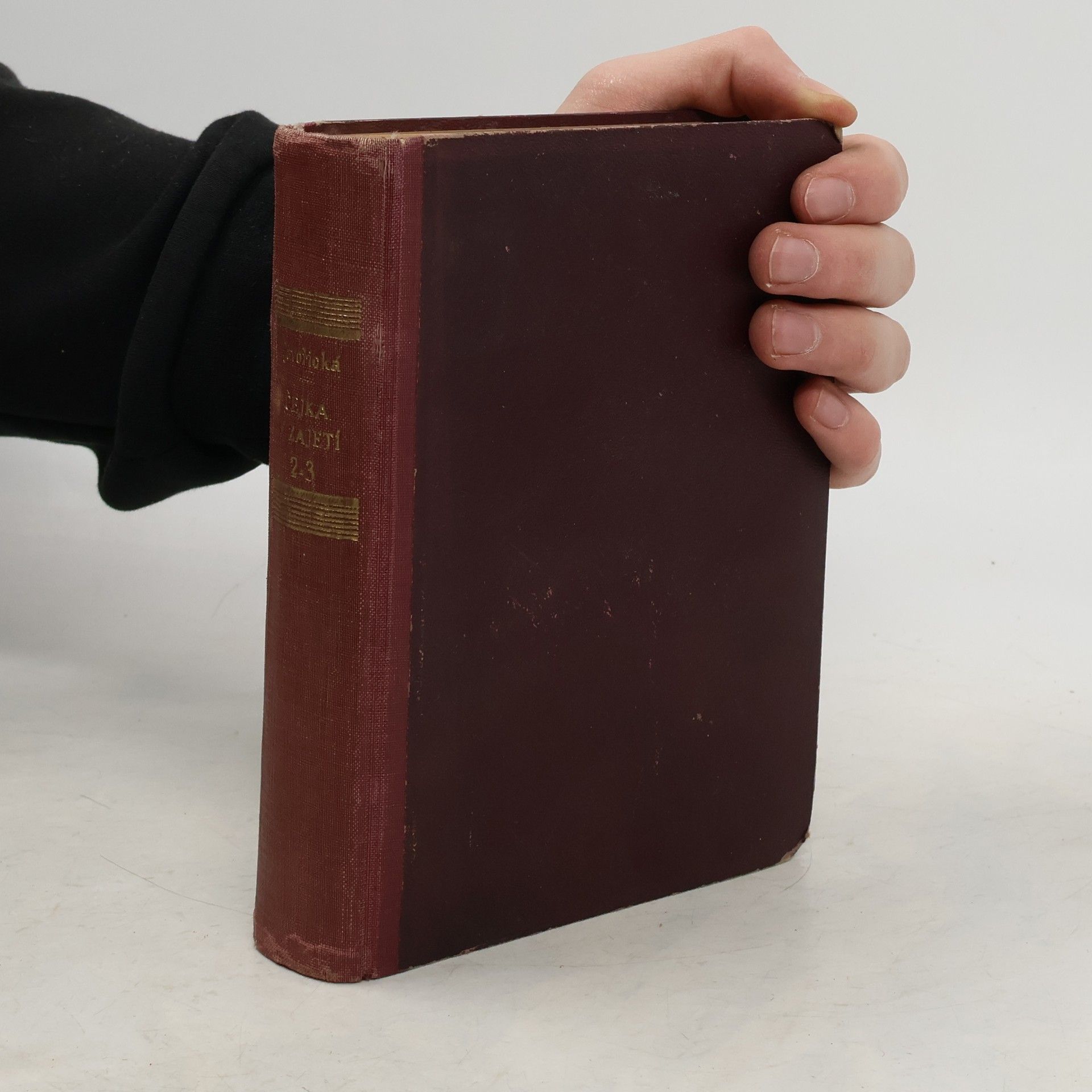 Vlasta Javořická Čejka v zajetí II