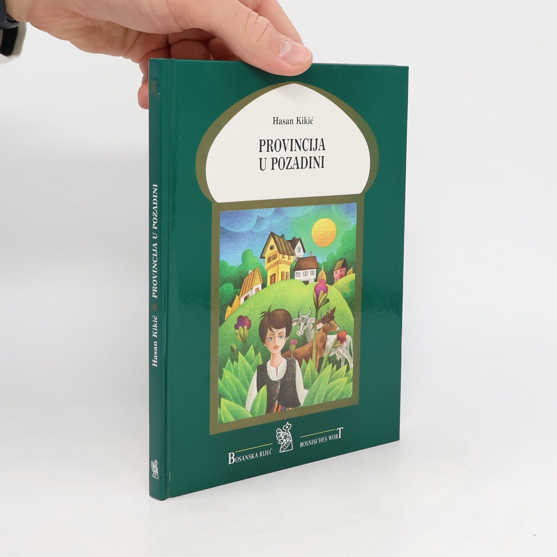 Hasan Kikić Provincija u pozadini