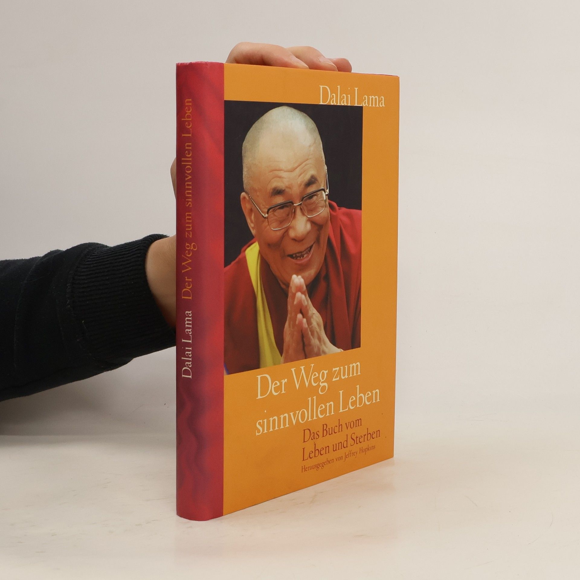 Dalaï-Lama Der Weg zum sinnvollen Leben