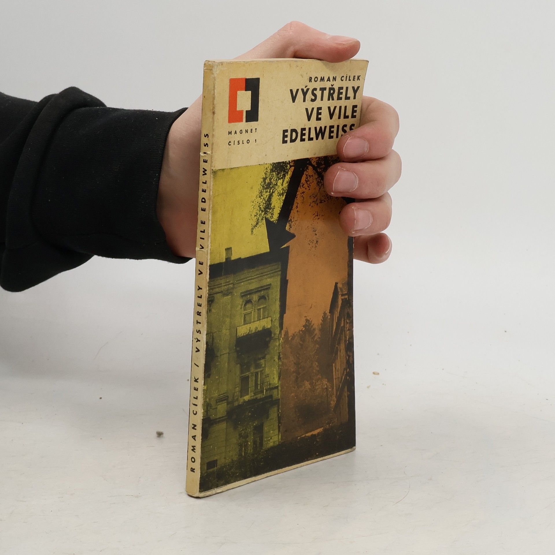 Roman Cílek Výstřely ve vile Edelweiss