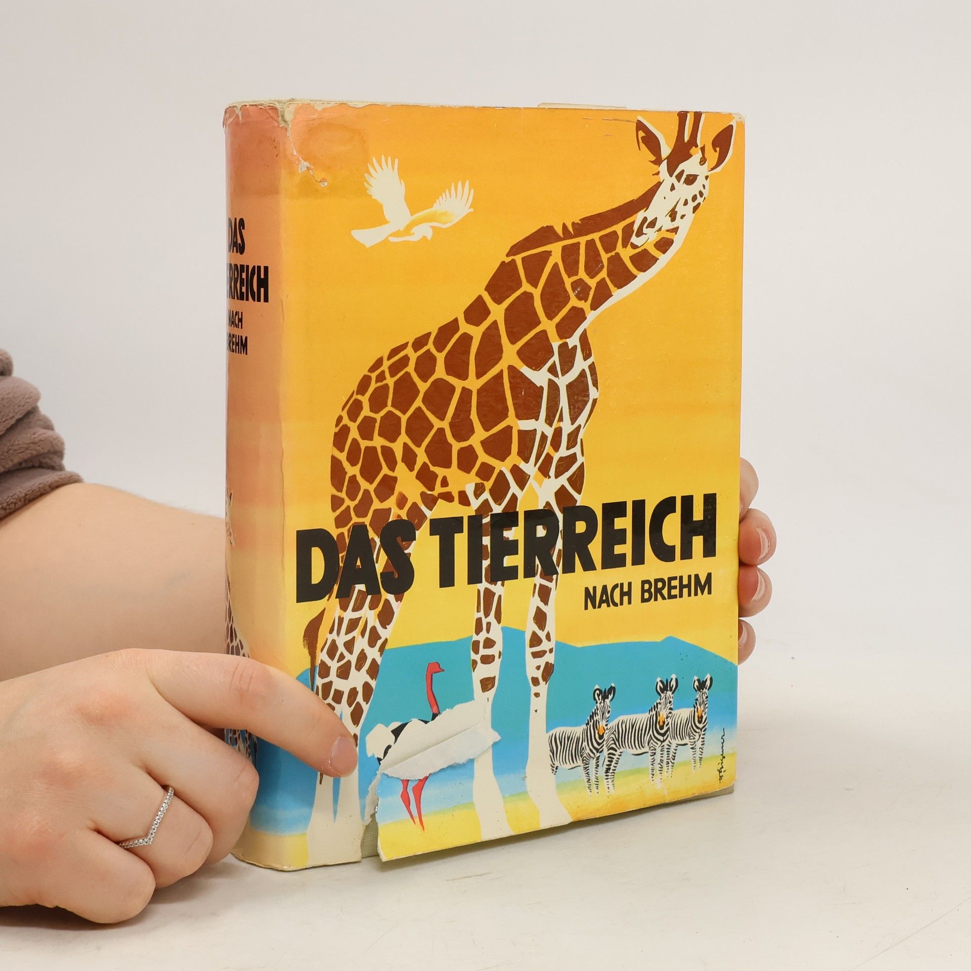 Autores varios Das Tierreich nach Brehm