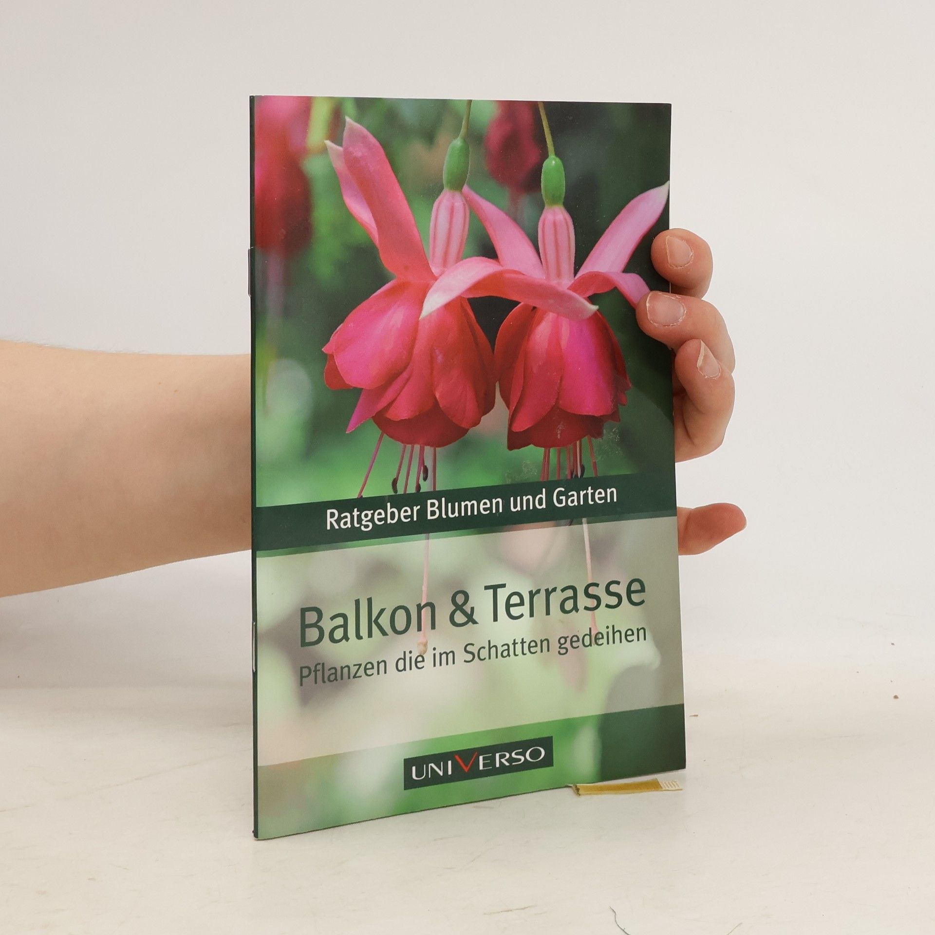 Kolektiv autorů Balkon & Terrasse - Pflanzen die im Schatten gedeihen