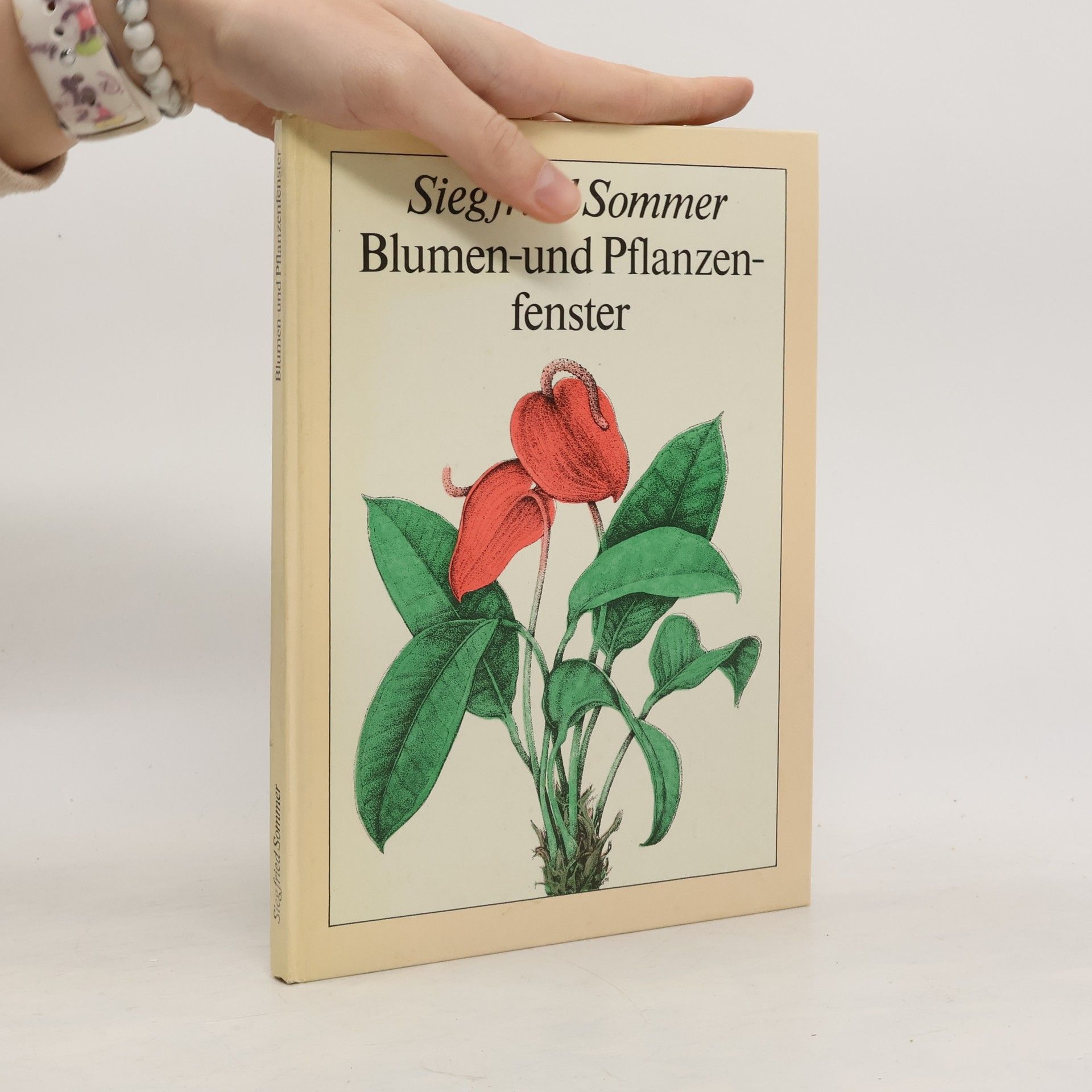 Siegfried Sommer Blumen und Pflanzen fenster