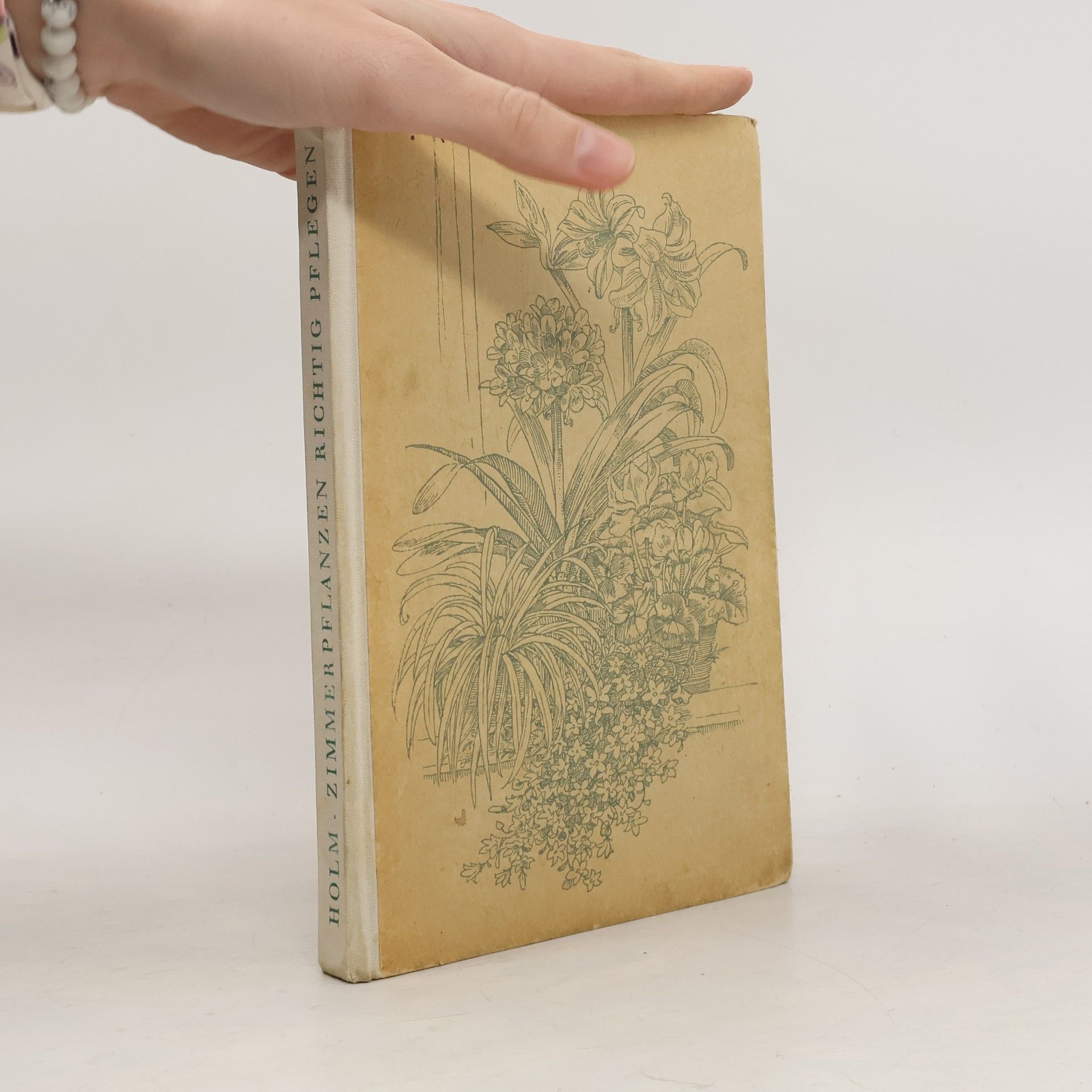 Zimmerpflanzen richtig pflegen 