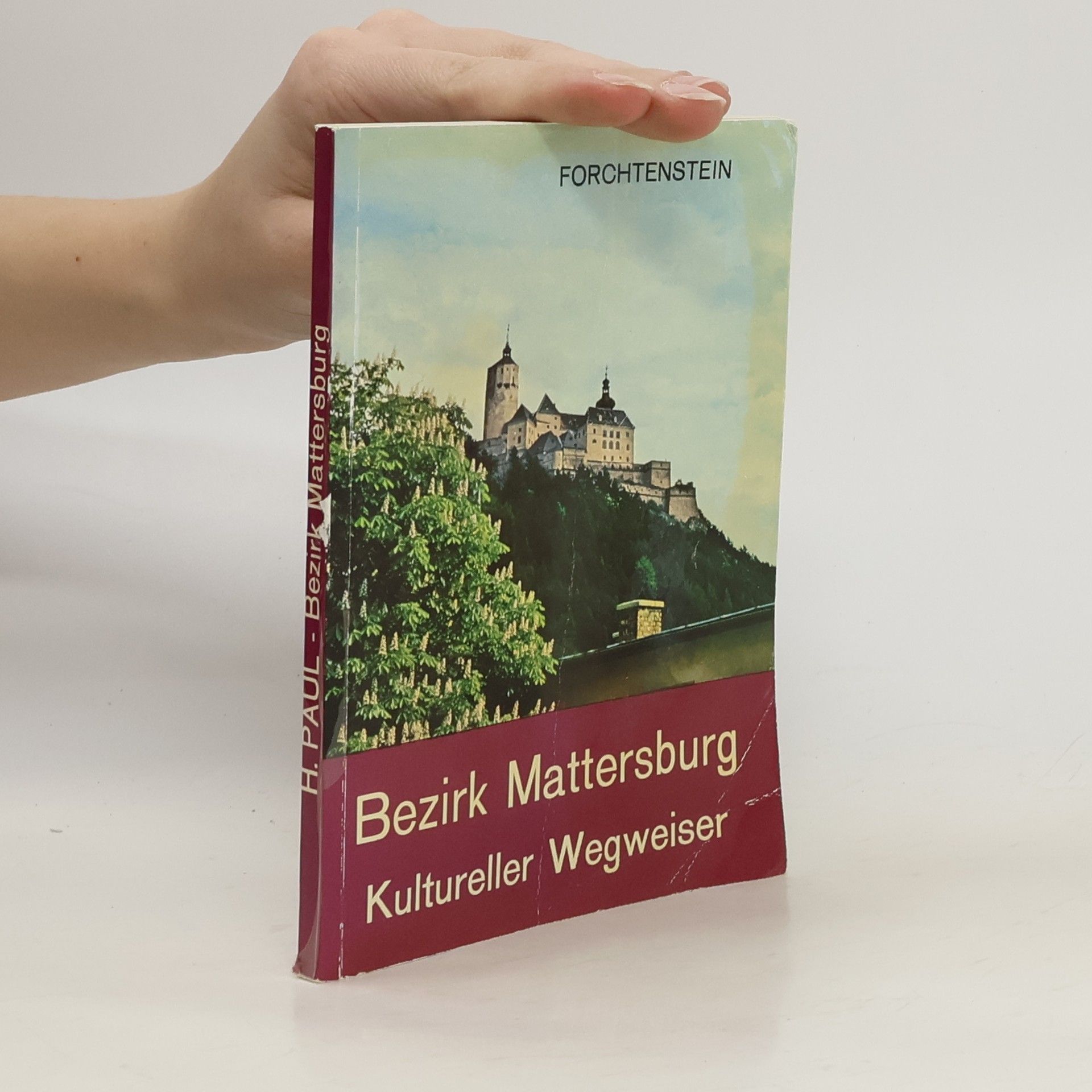 Hans Paul Bezirk Mattersburg