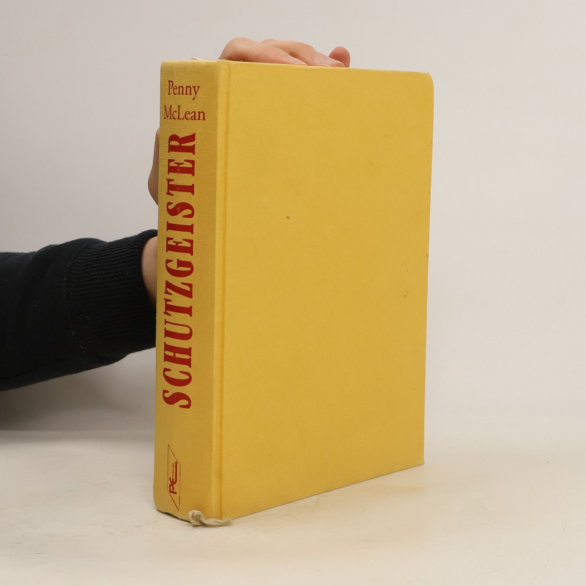 Penny McLean Schutzgeister