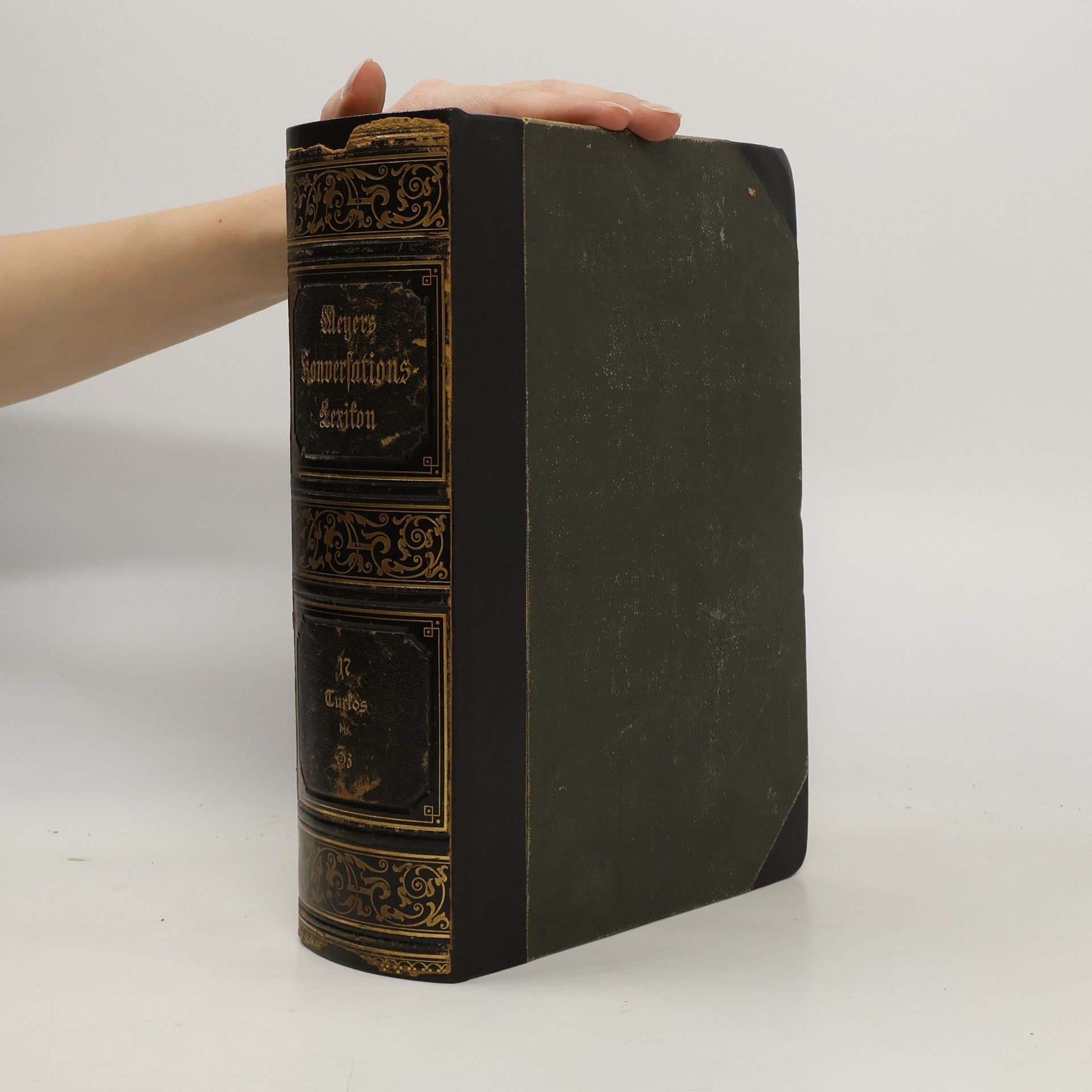 Auteurscollectief Meyers grosses Konversations-Lexikon 17